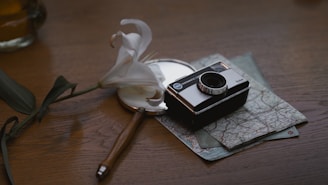 A camera and a flower on a table