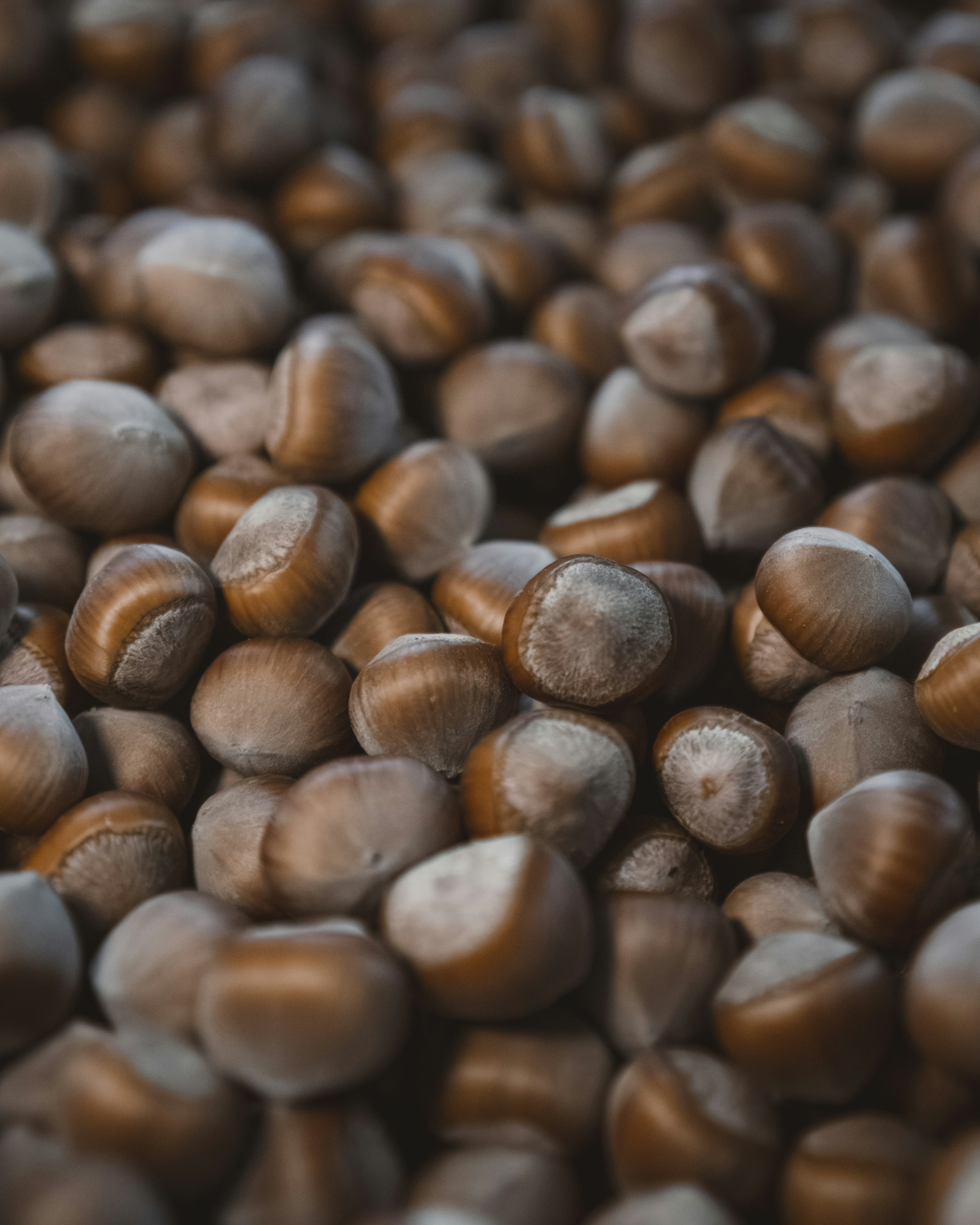 Photo by ahmetyuksek