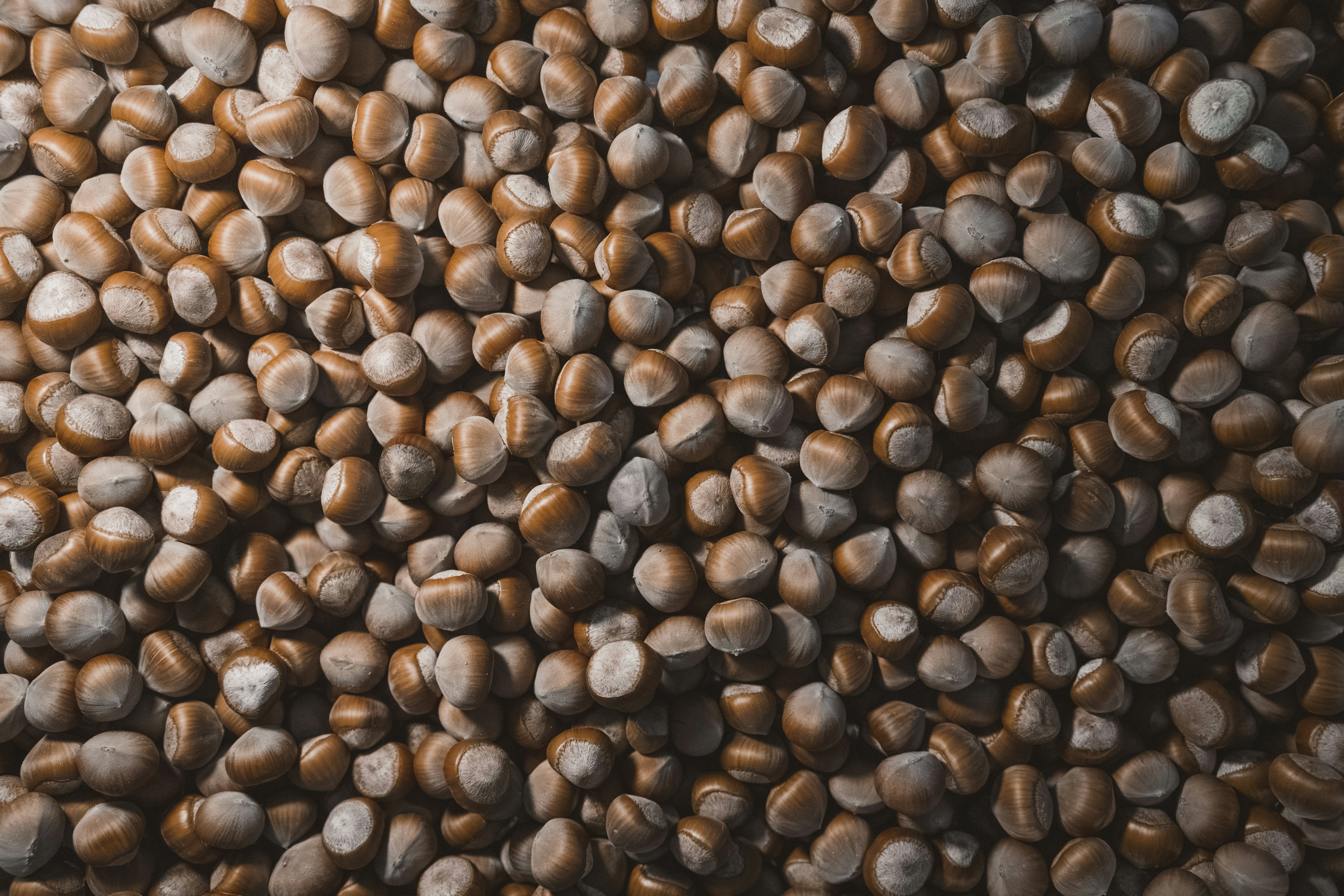 Photo by ahmetyuksek