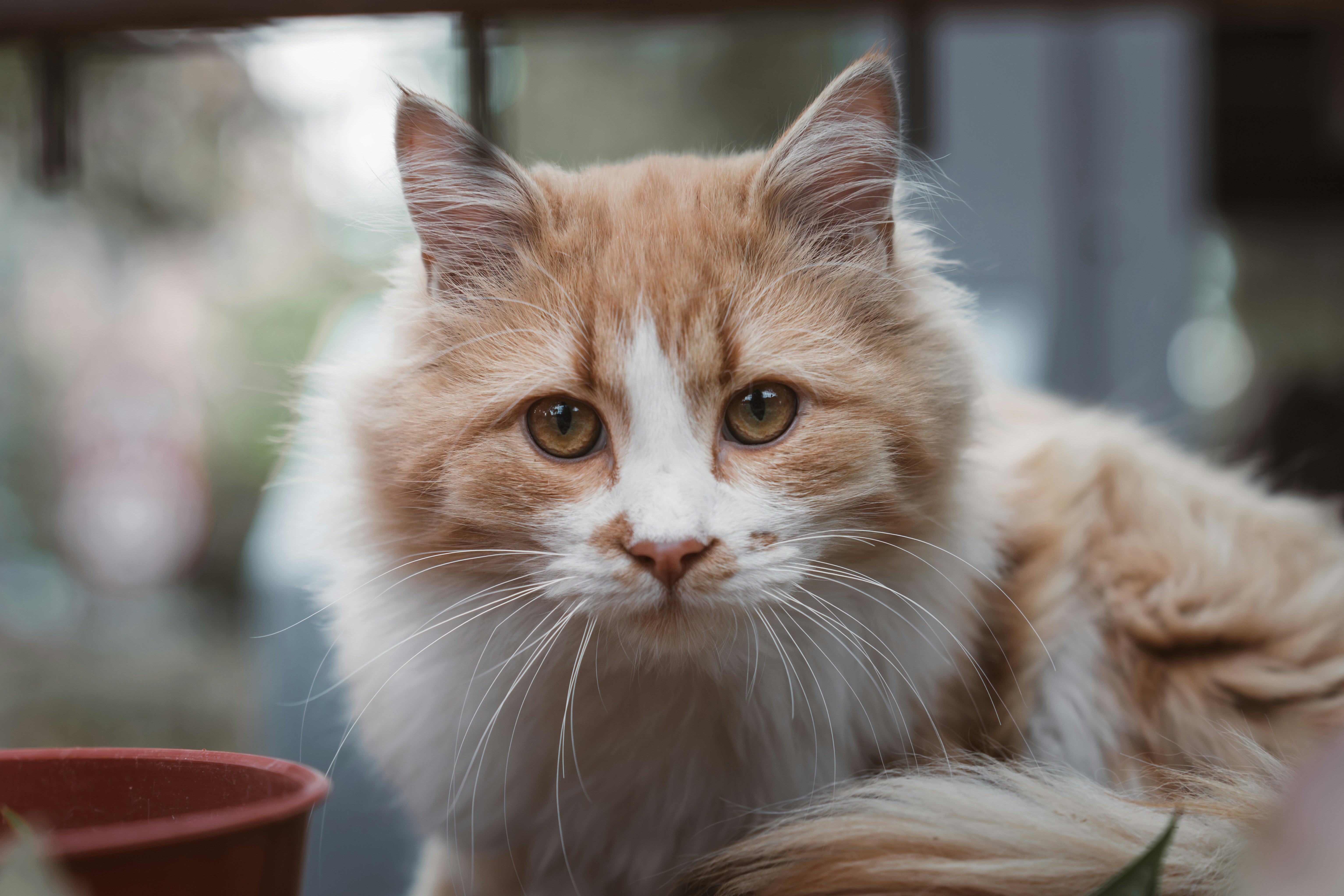 Photo by ahmetyuksek