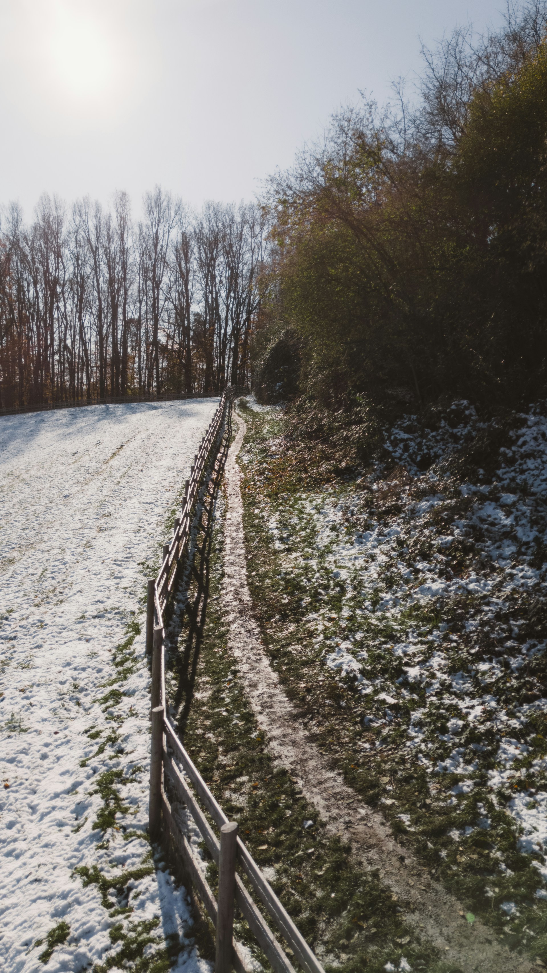 A snow covered field with a fence and trees
