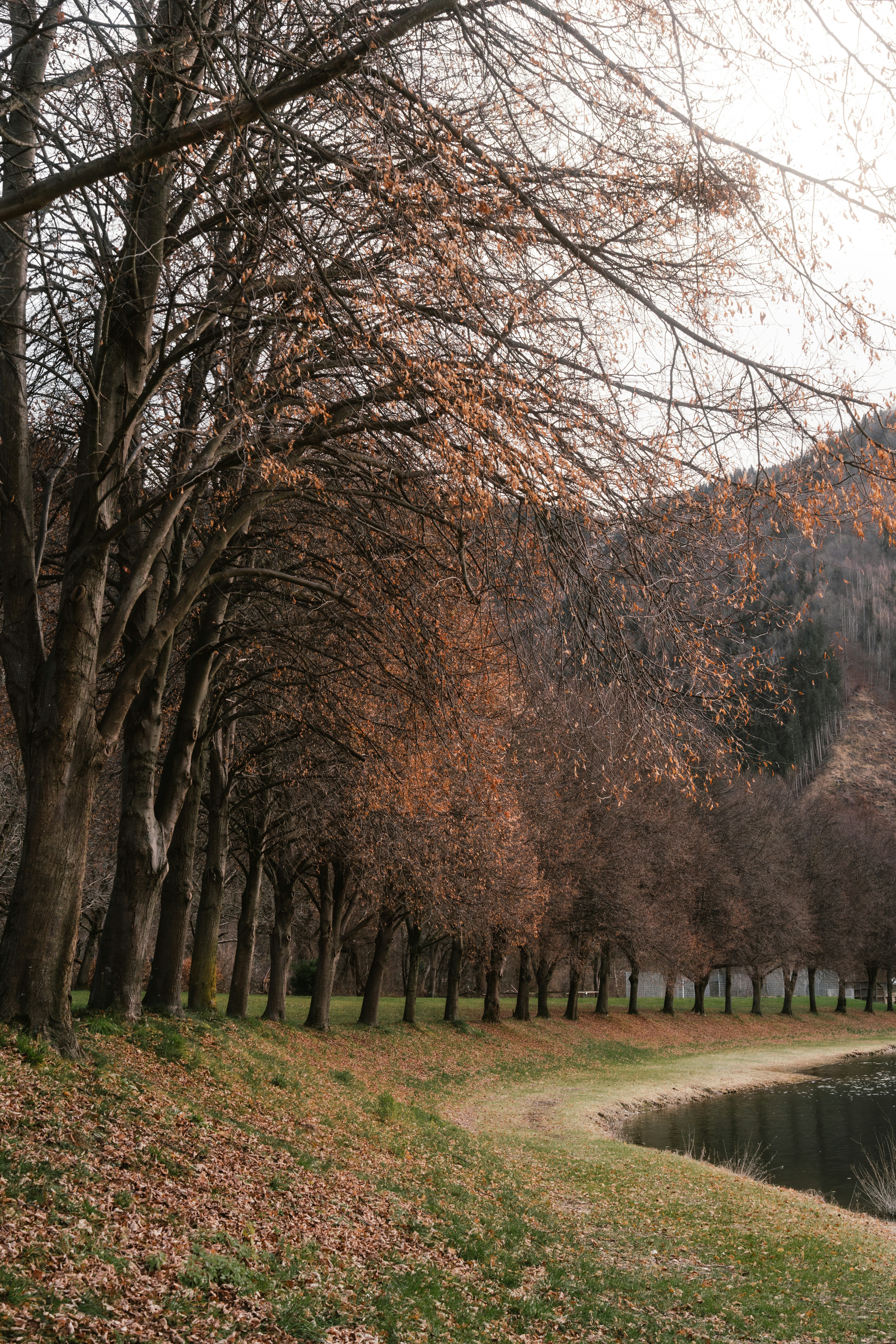 Photo by ahmetyuksek