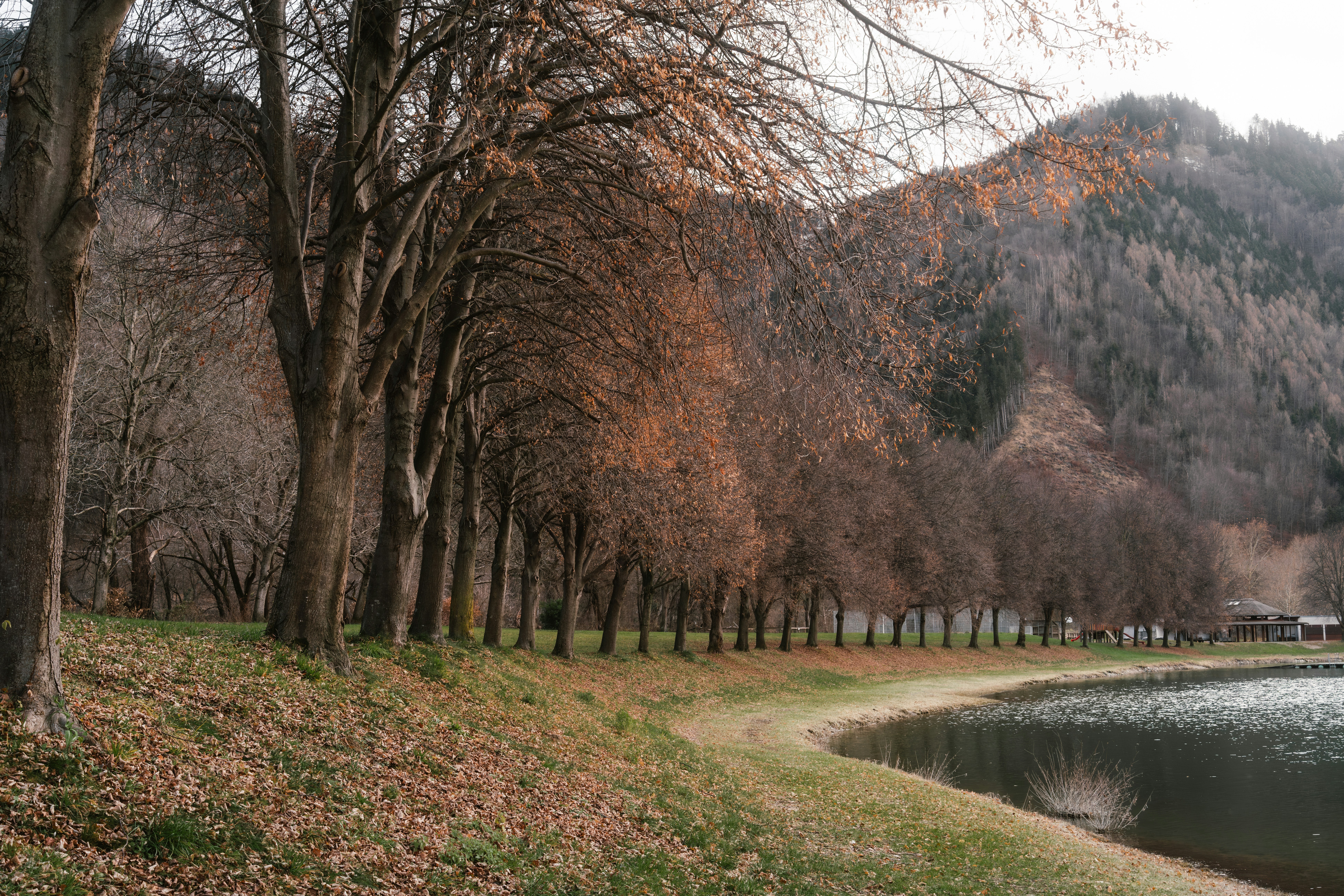 Photo by ahmetyuksek