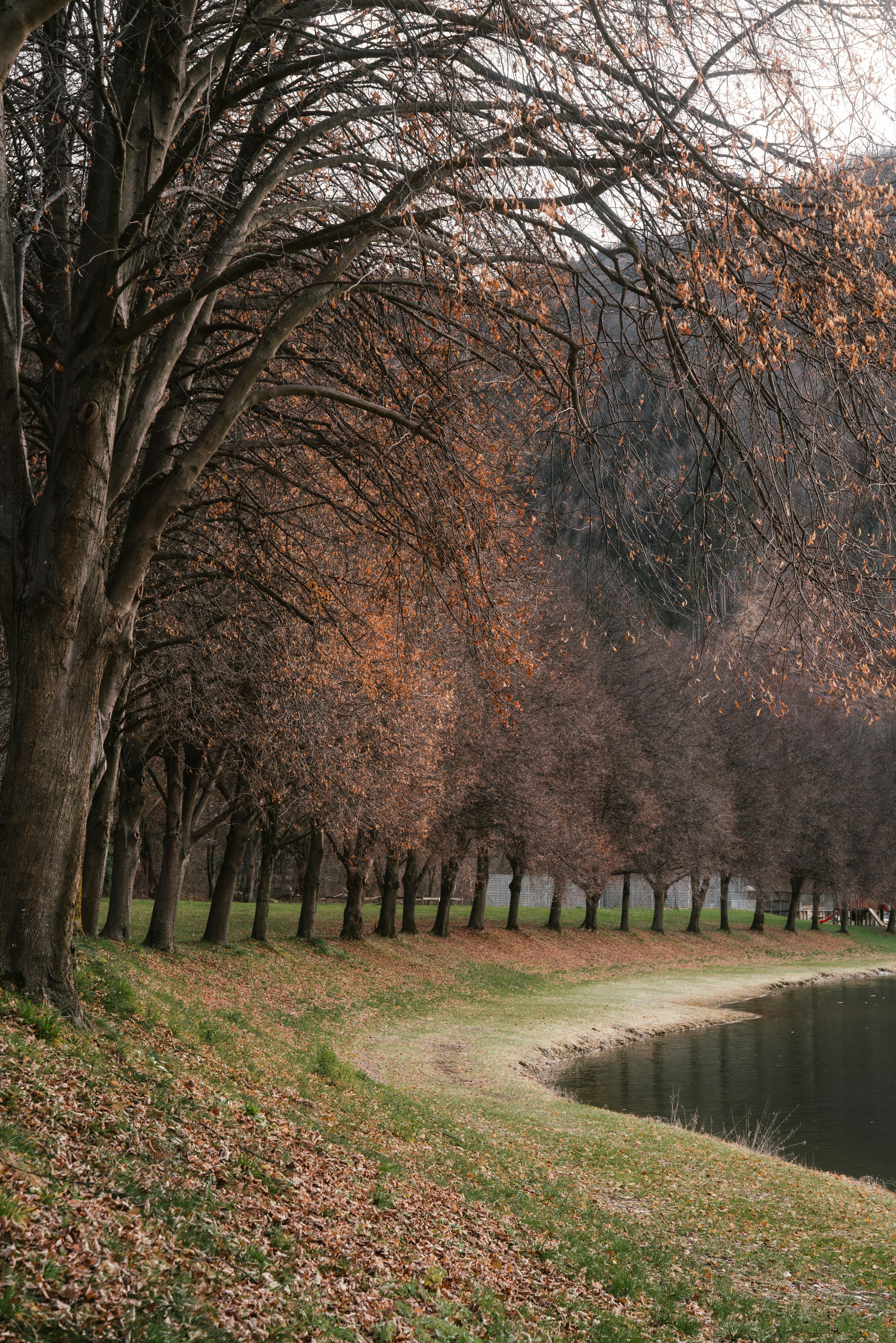 Photo by ahmetyuksek