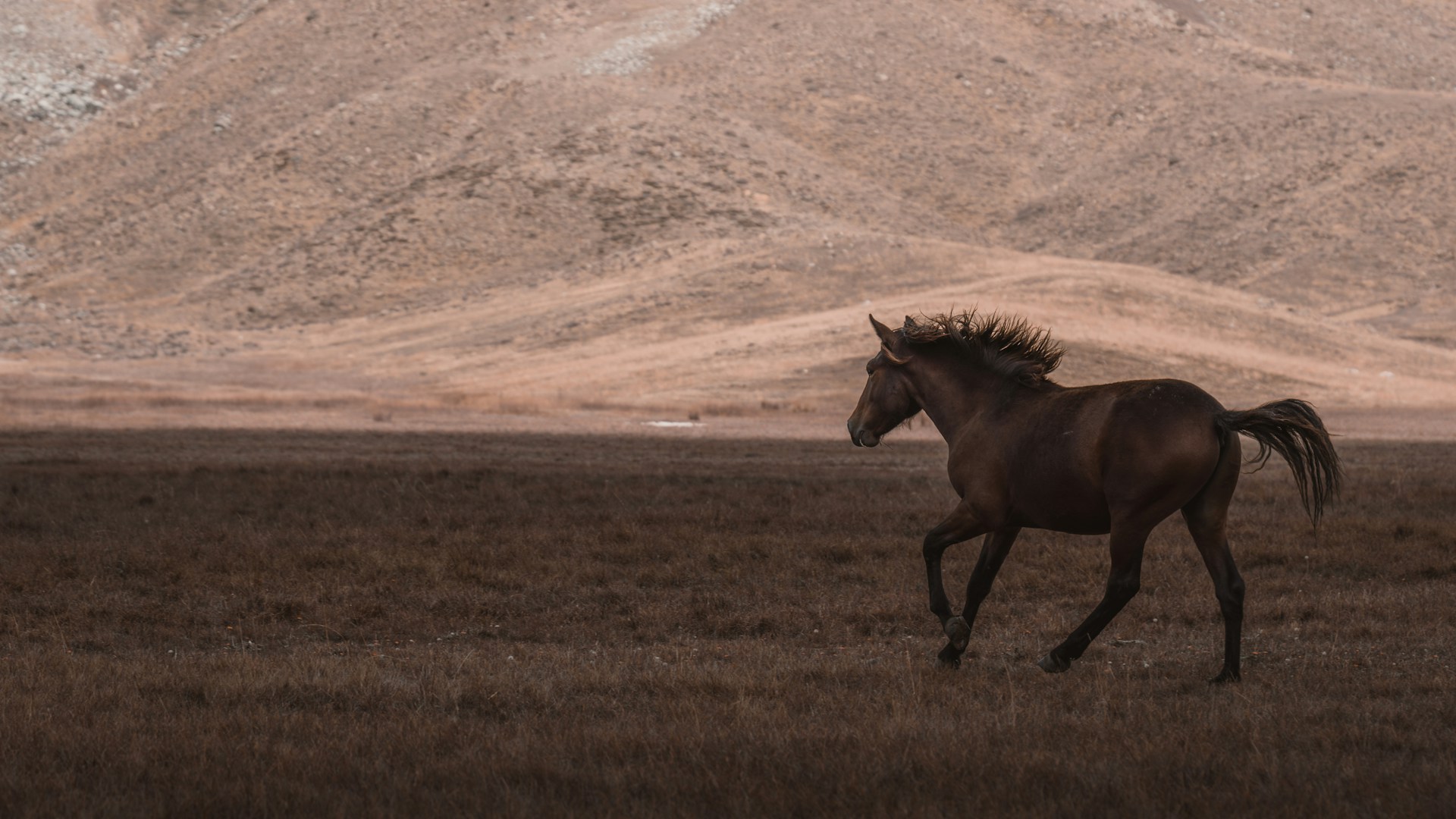 A horse running in a field with mountains in the background