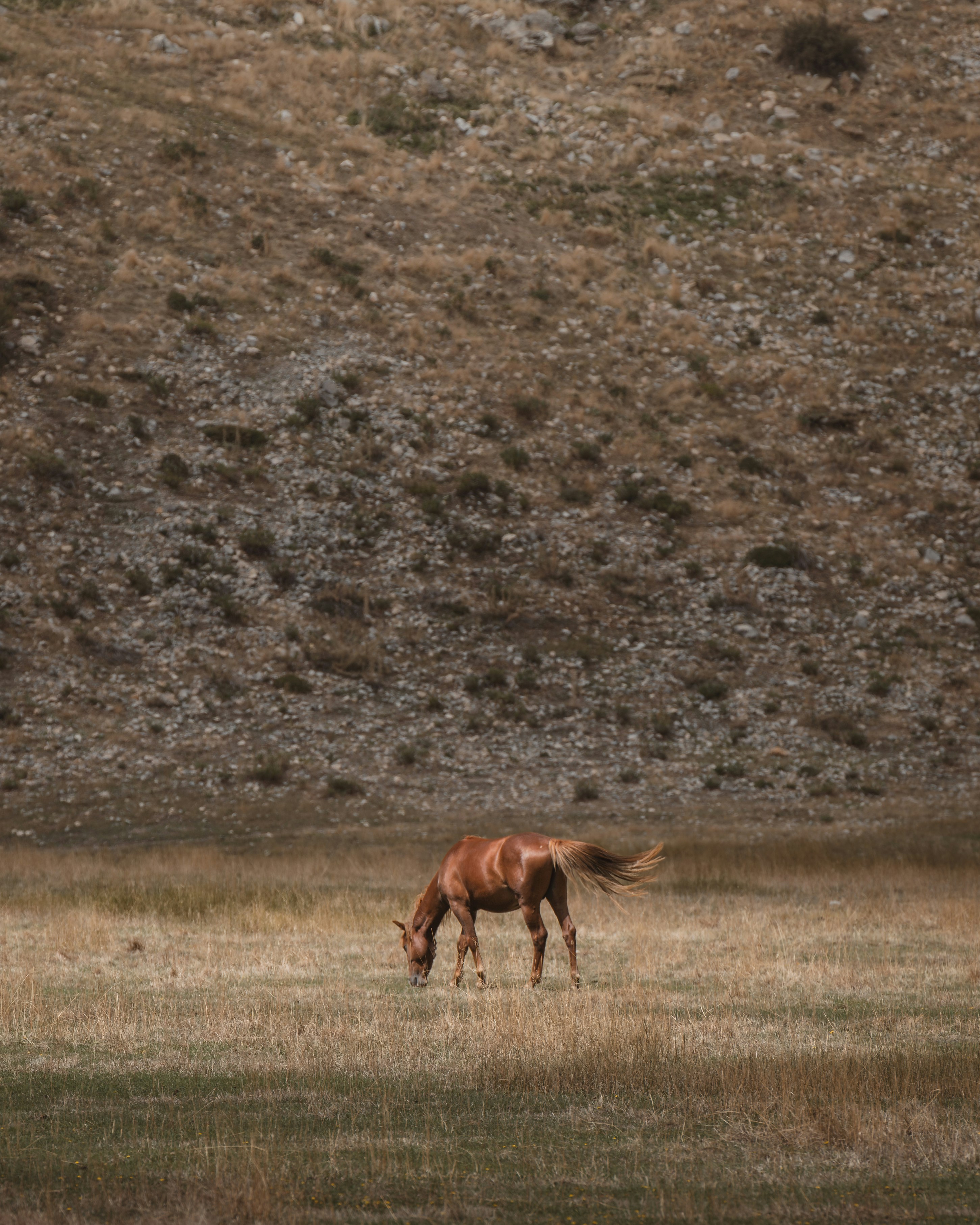 Photo by ahmetyuksek