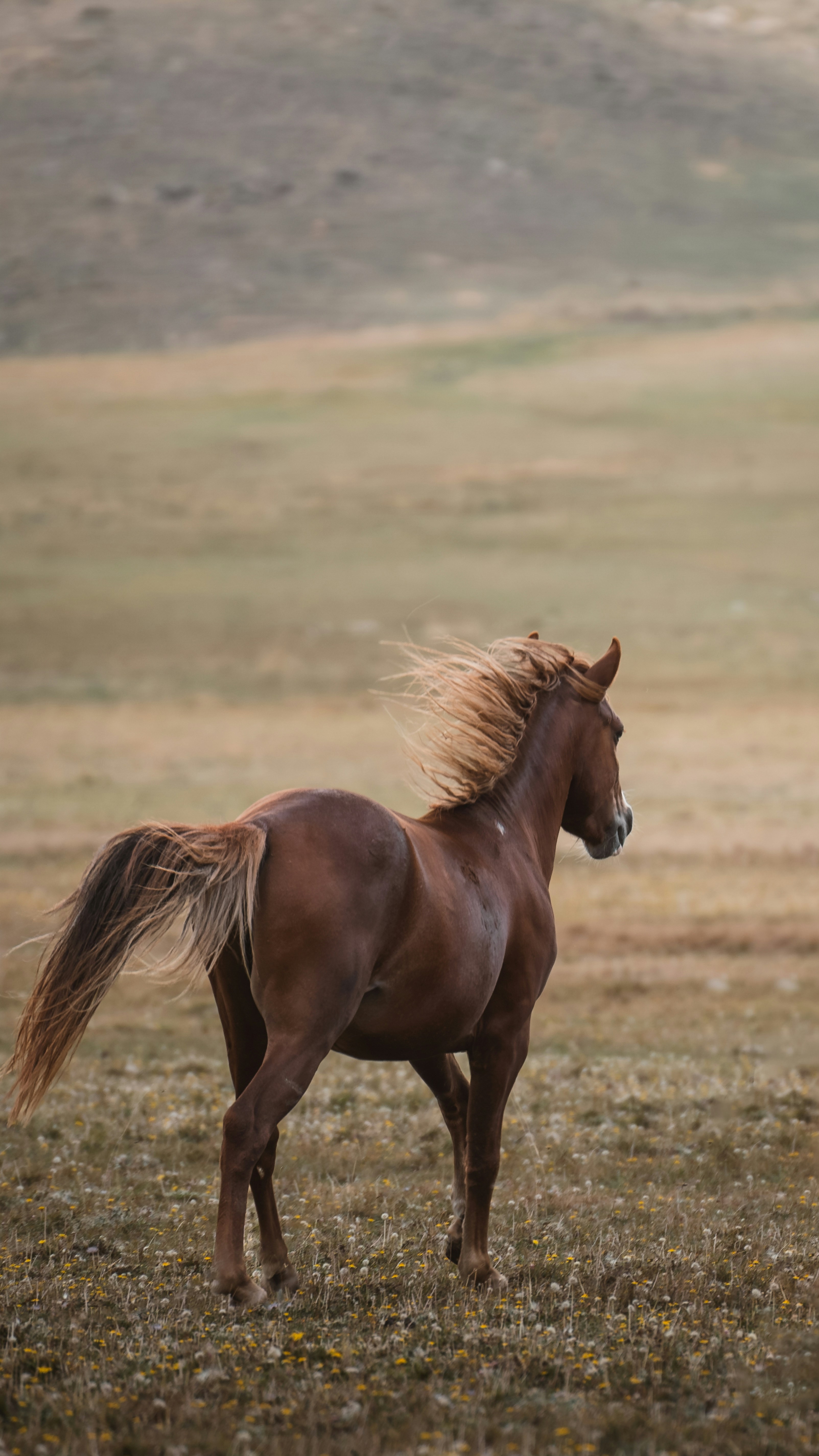 Photo by ahmetyuksek