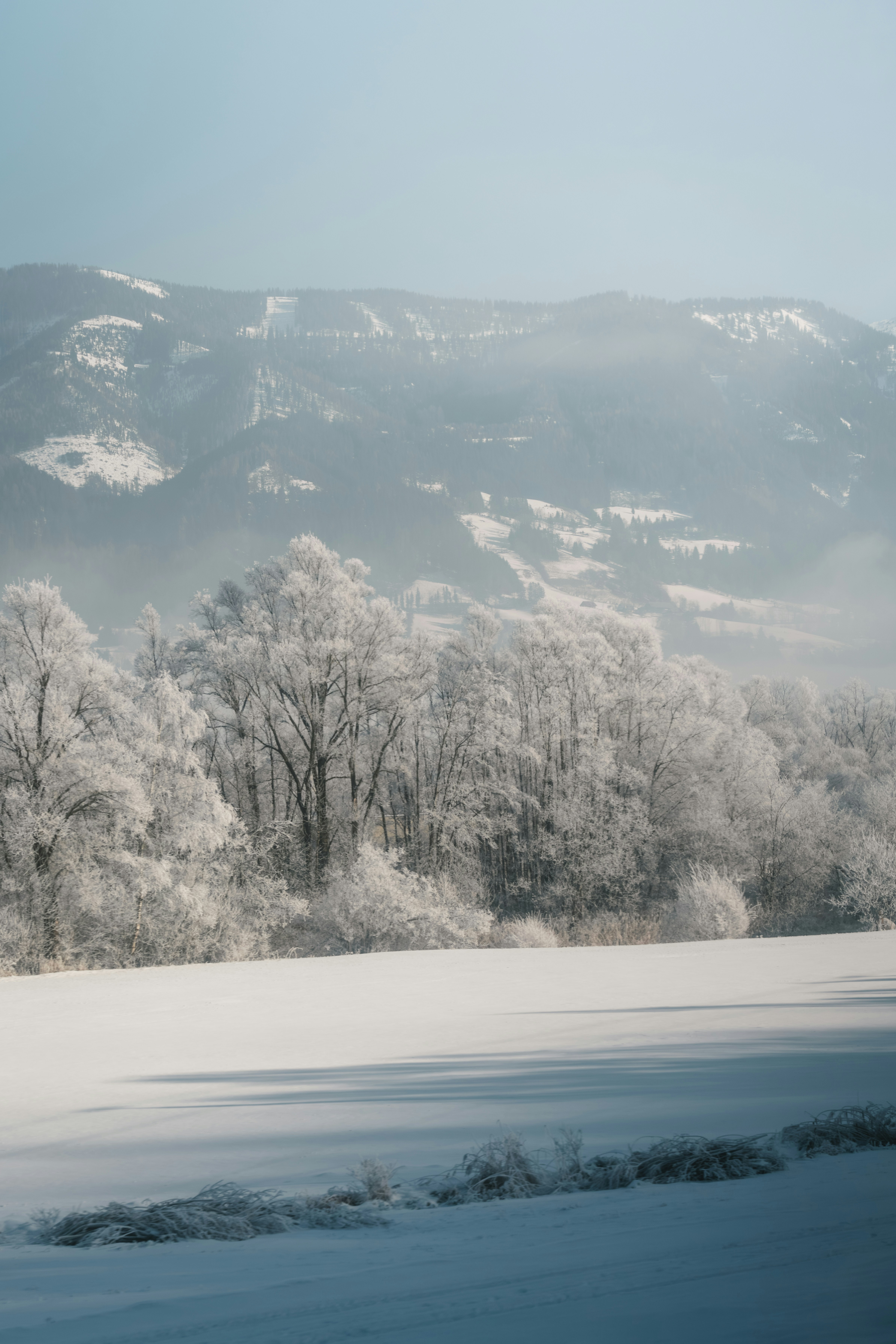 Photo by ahmetyuksek