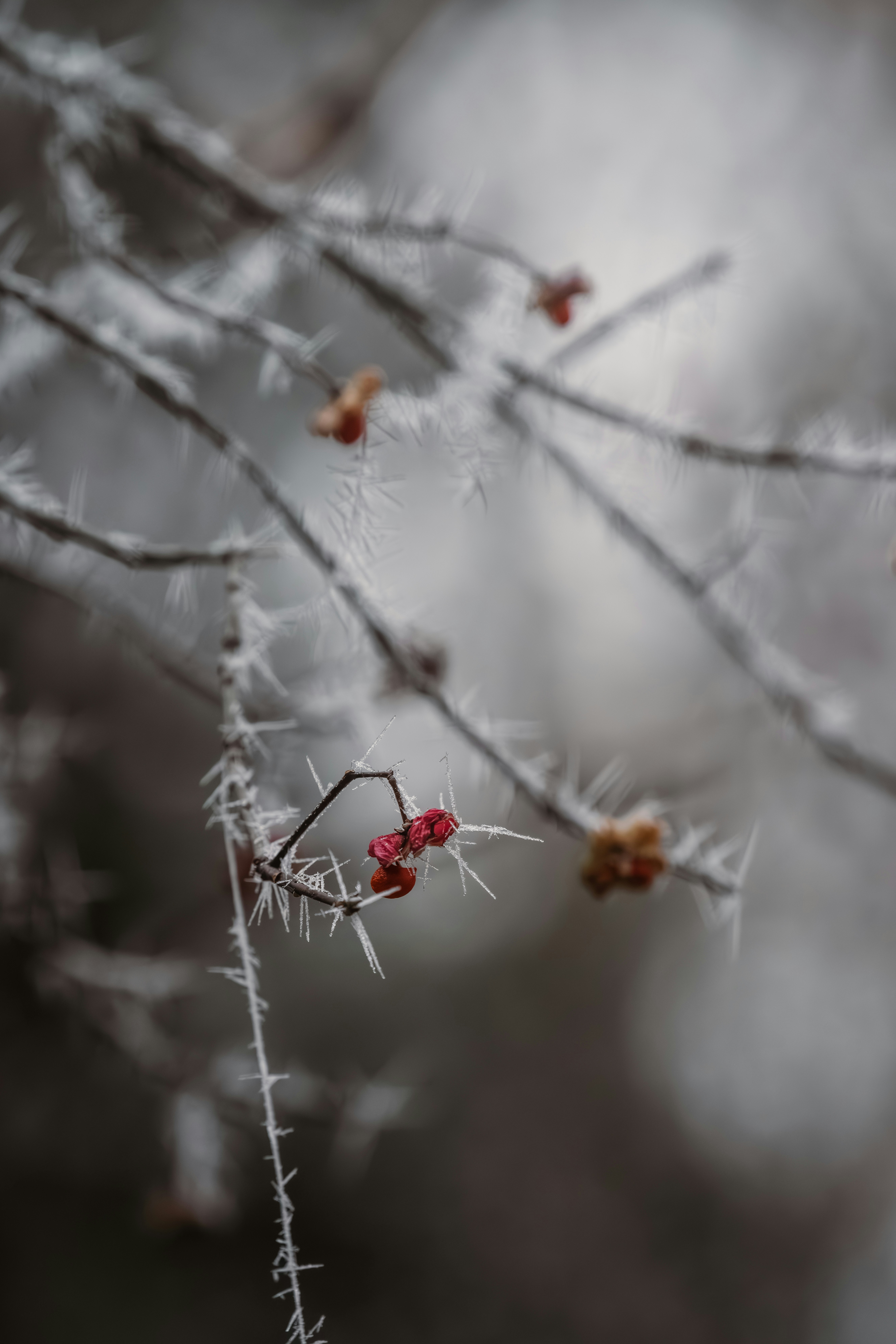 Photo by ahmetyuksek