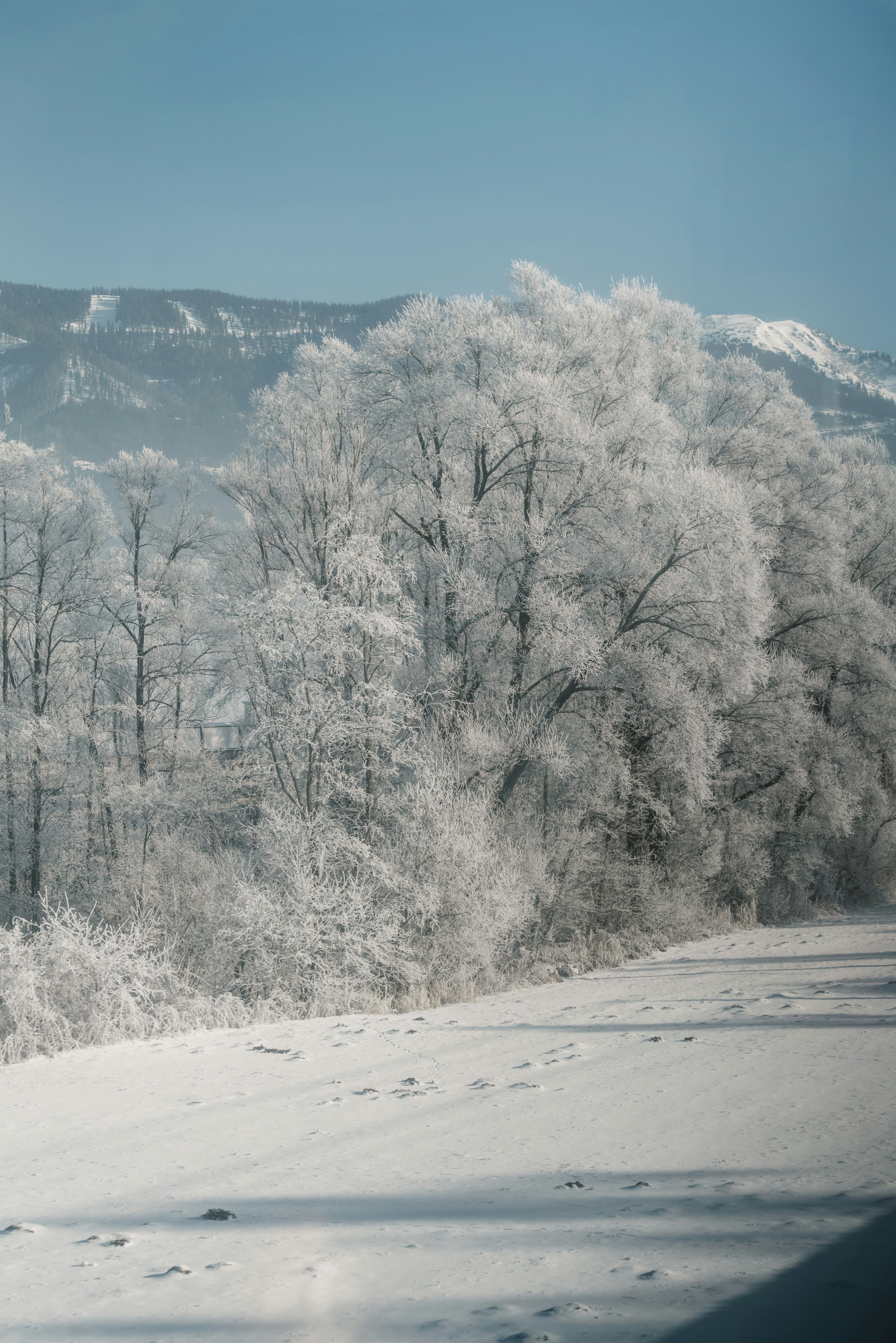 Photo by ahmetyuksek