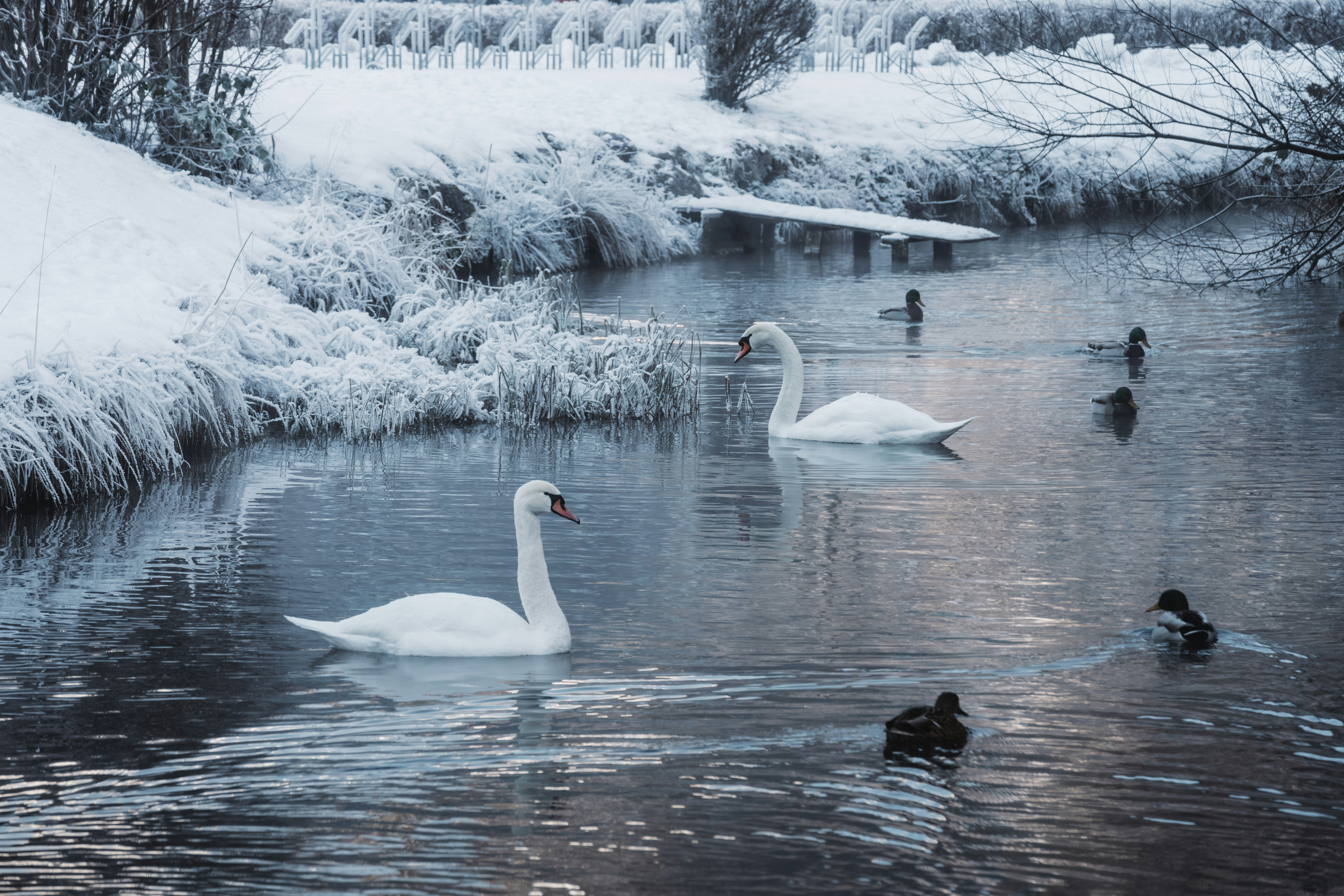 Photo by ahmetyuksek