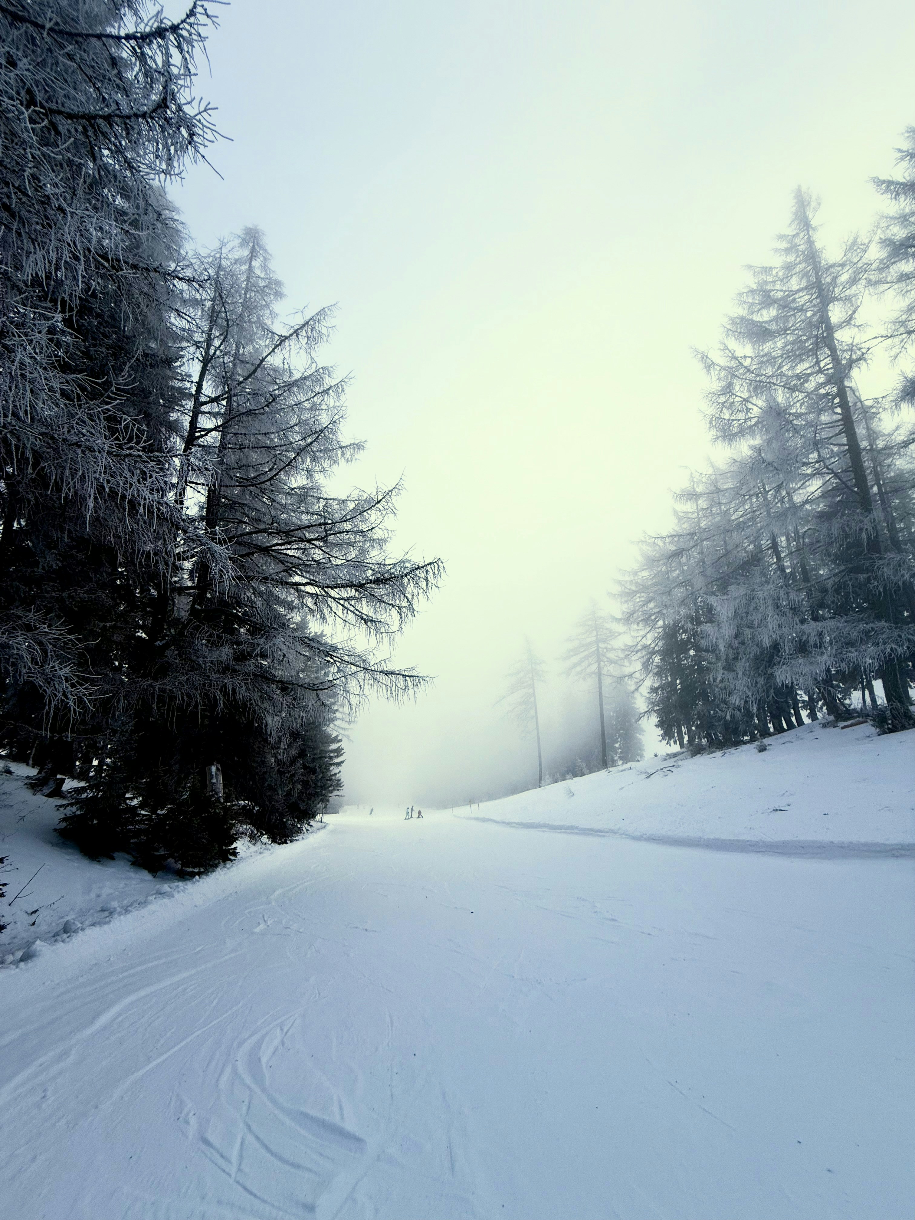 Photo by mihaly_koles