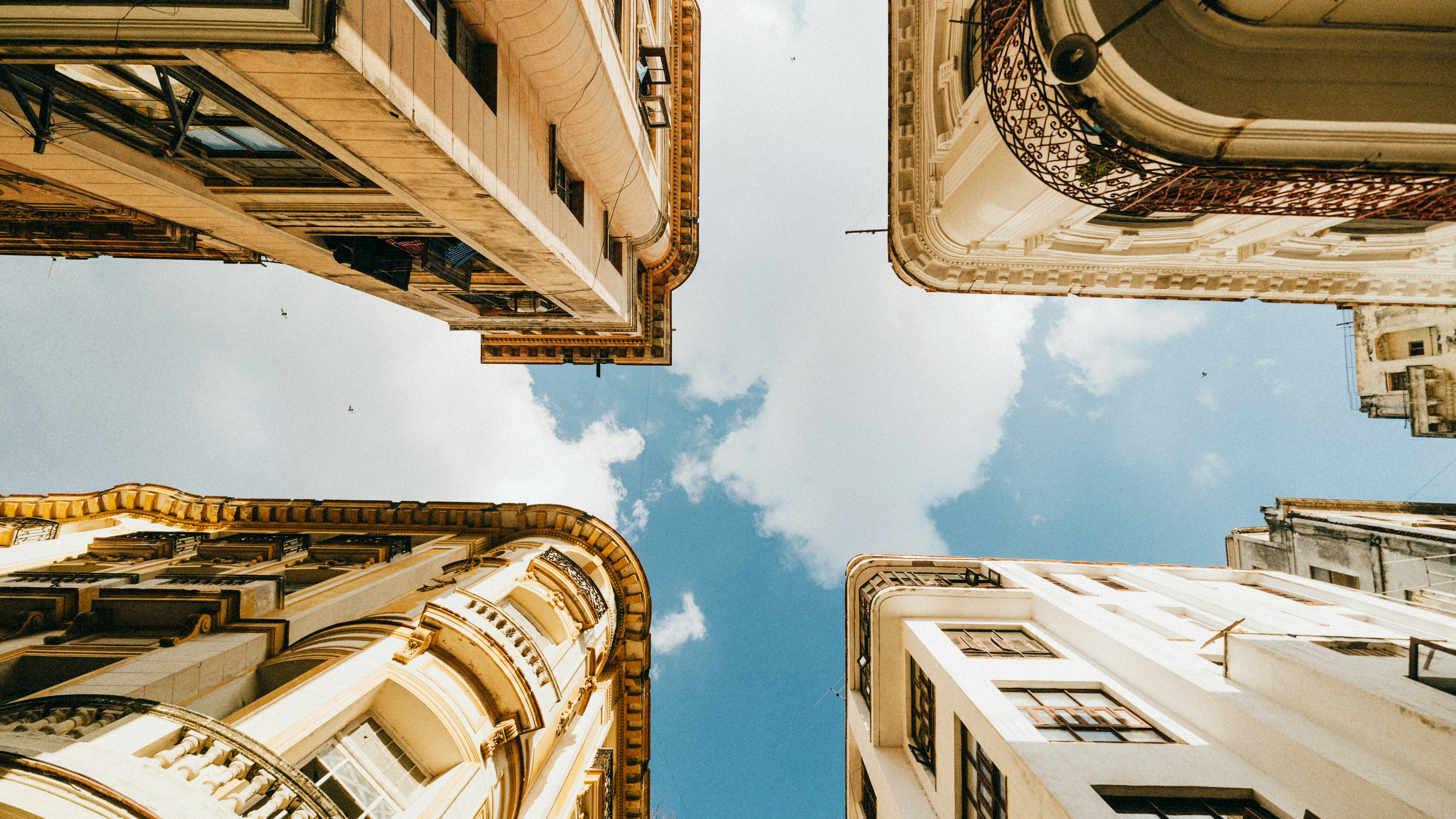 Photo by therealcaique