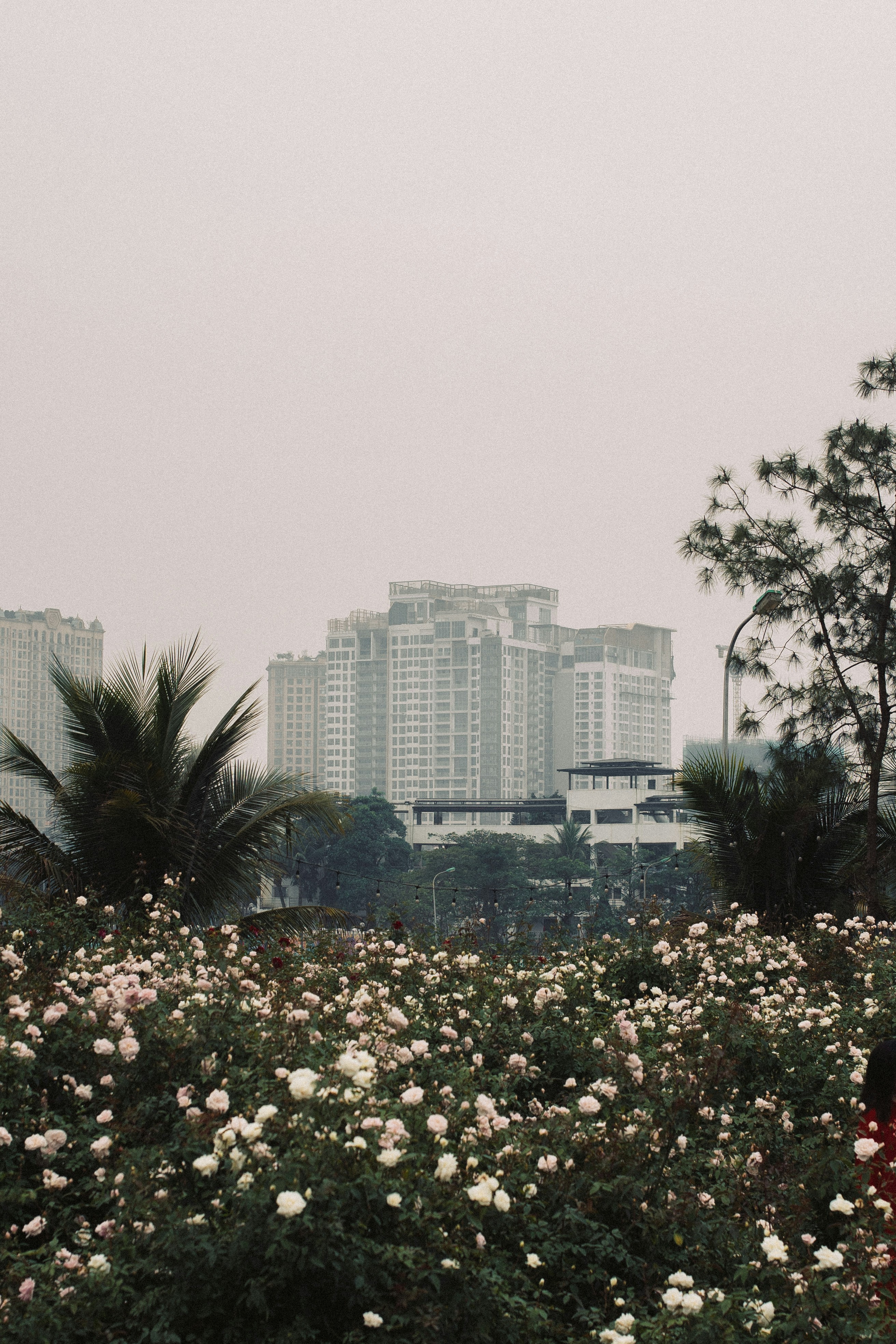 Photo by therealcaique