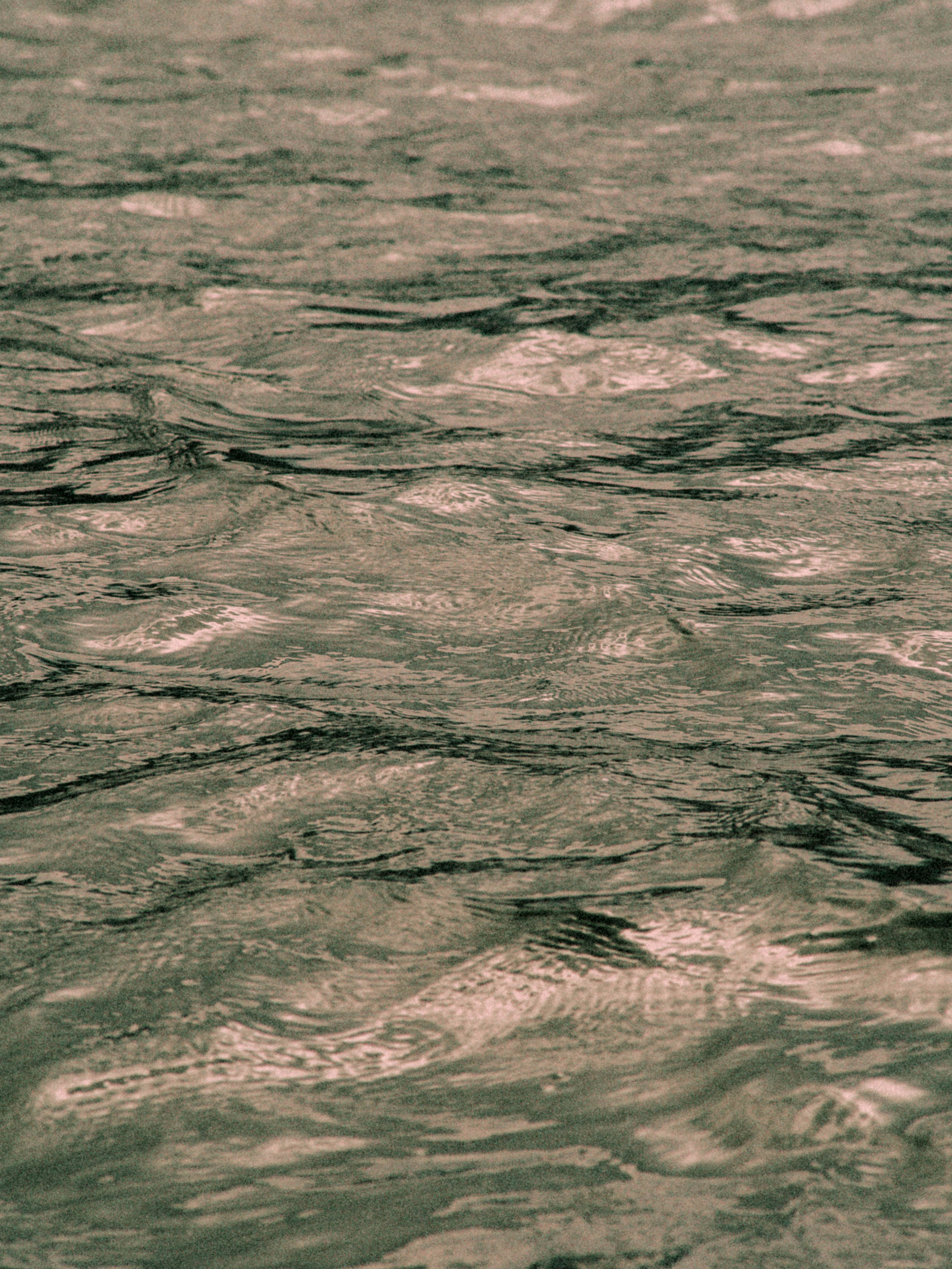 A person riding a surfboard on top of a body of water