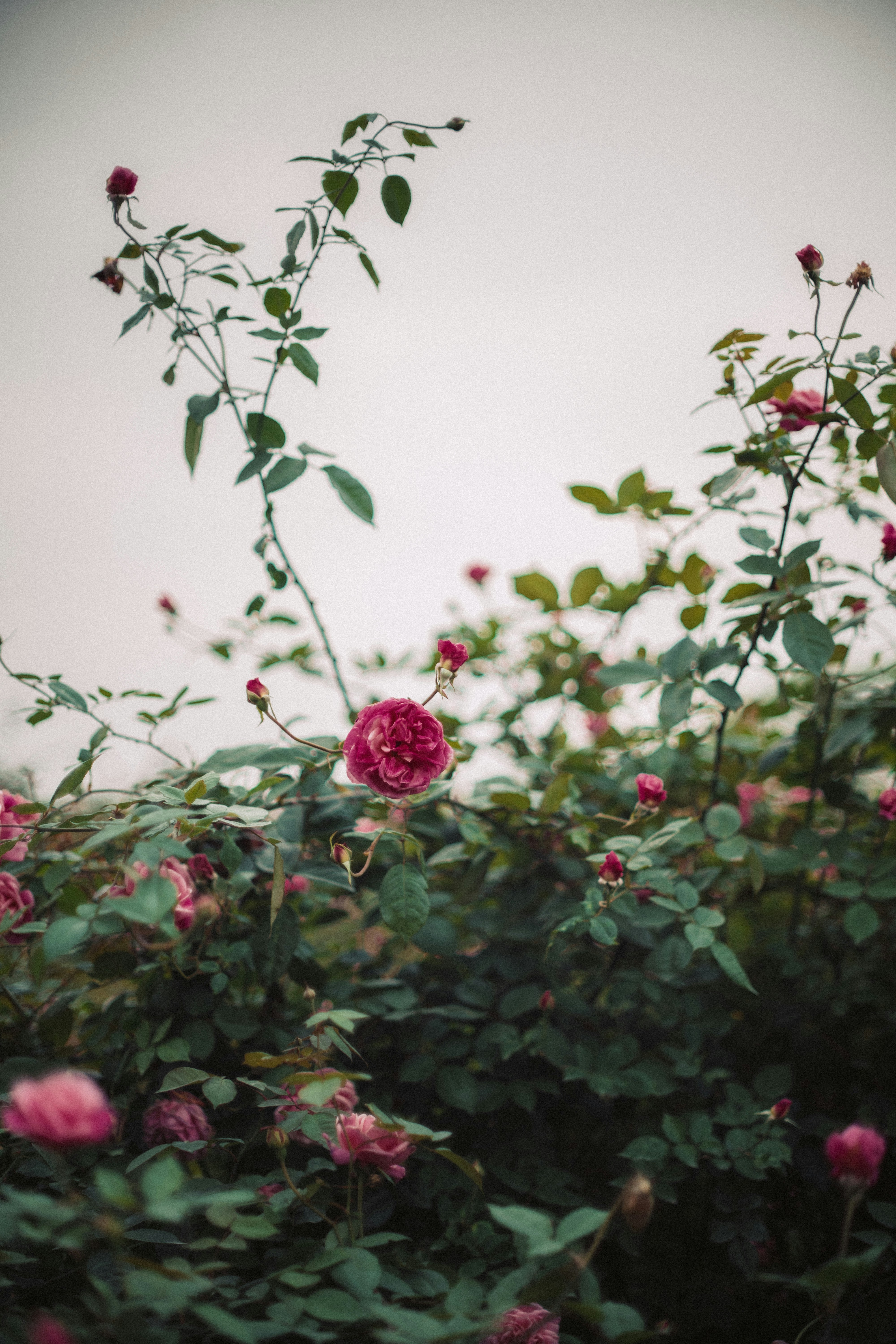 Photo by therealcaique