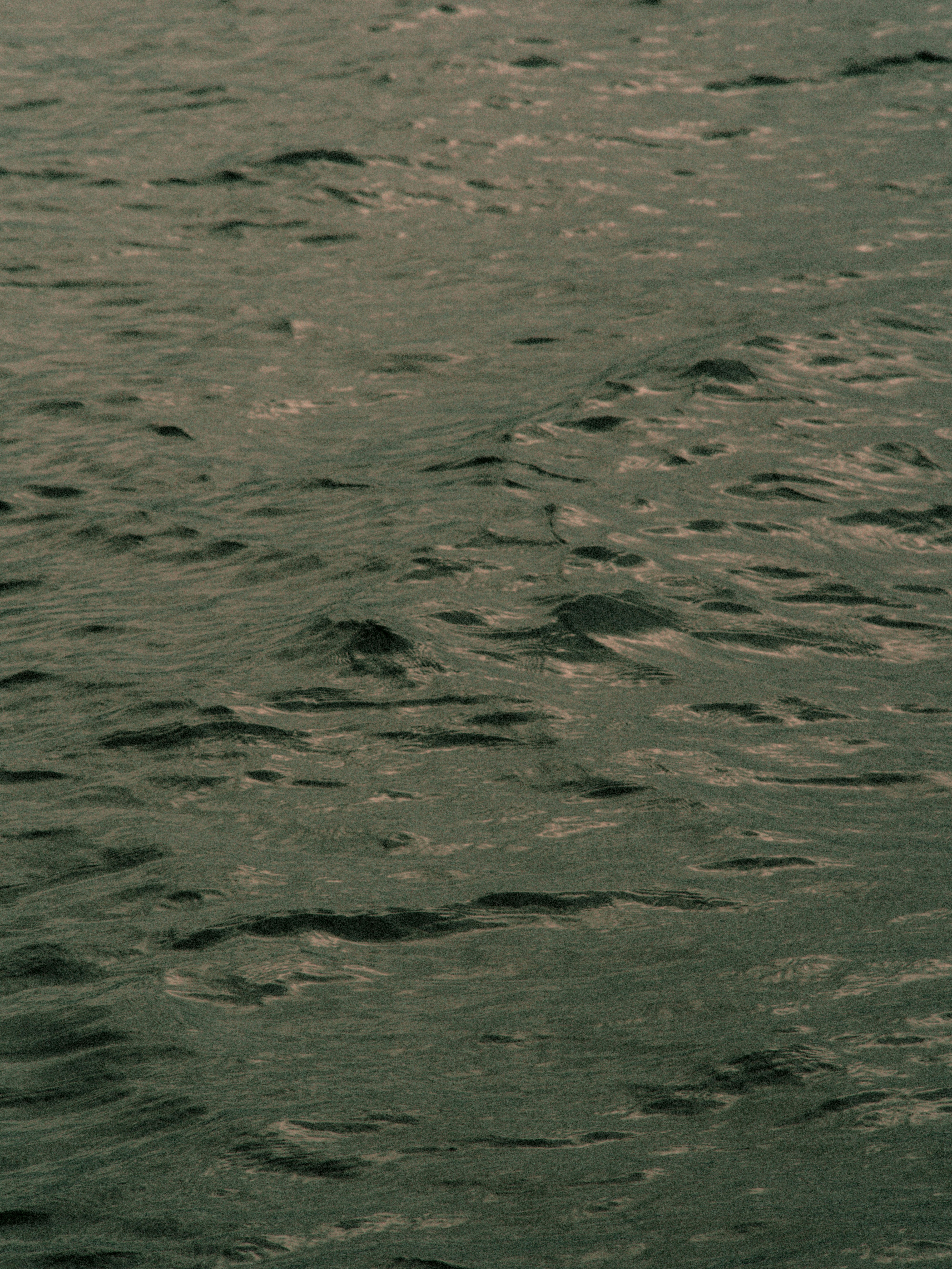 A person riding a surf board on a body of water