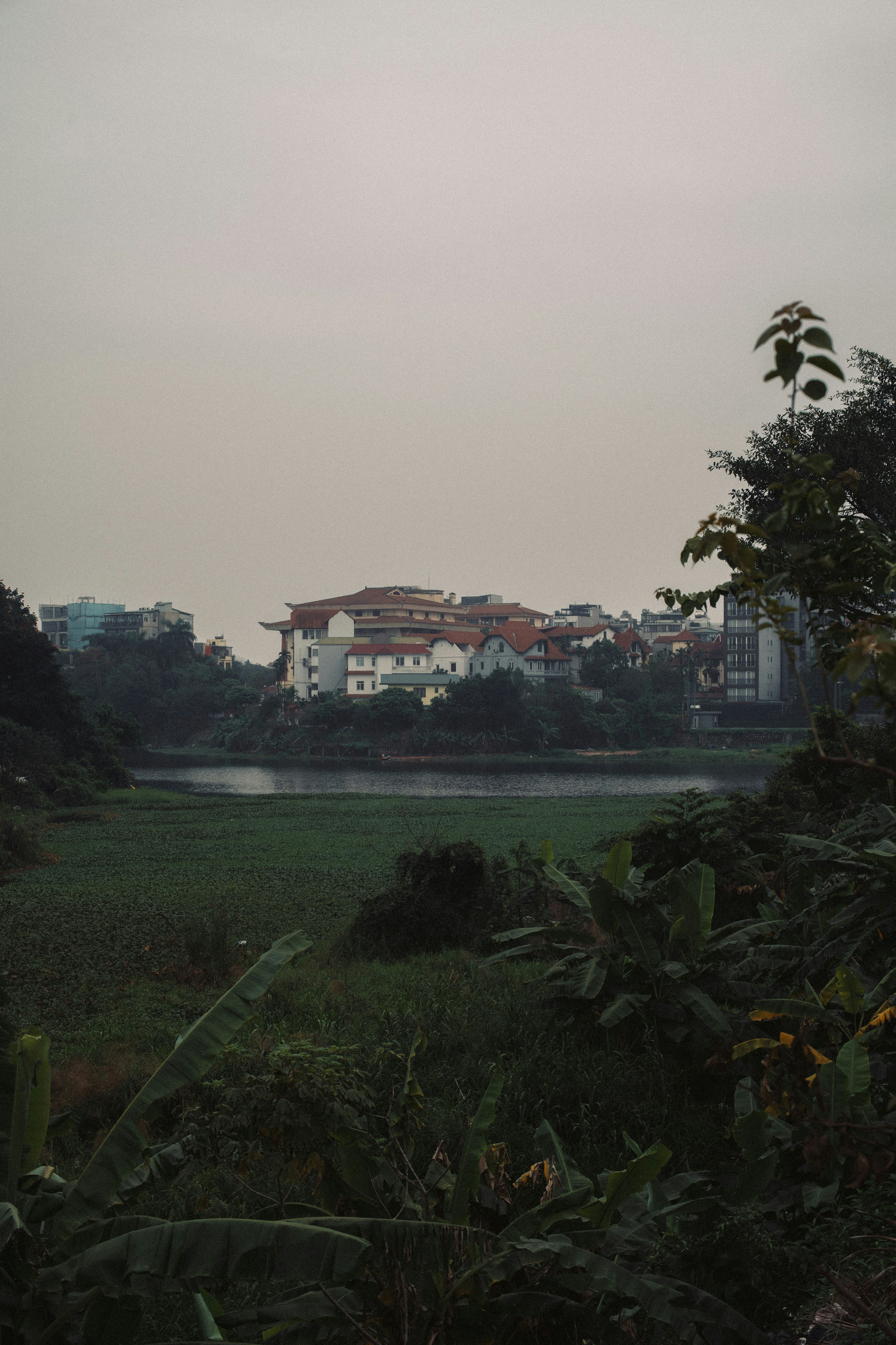 A large body of water surrounded by trees