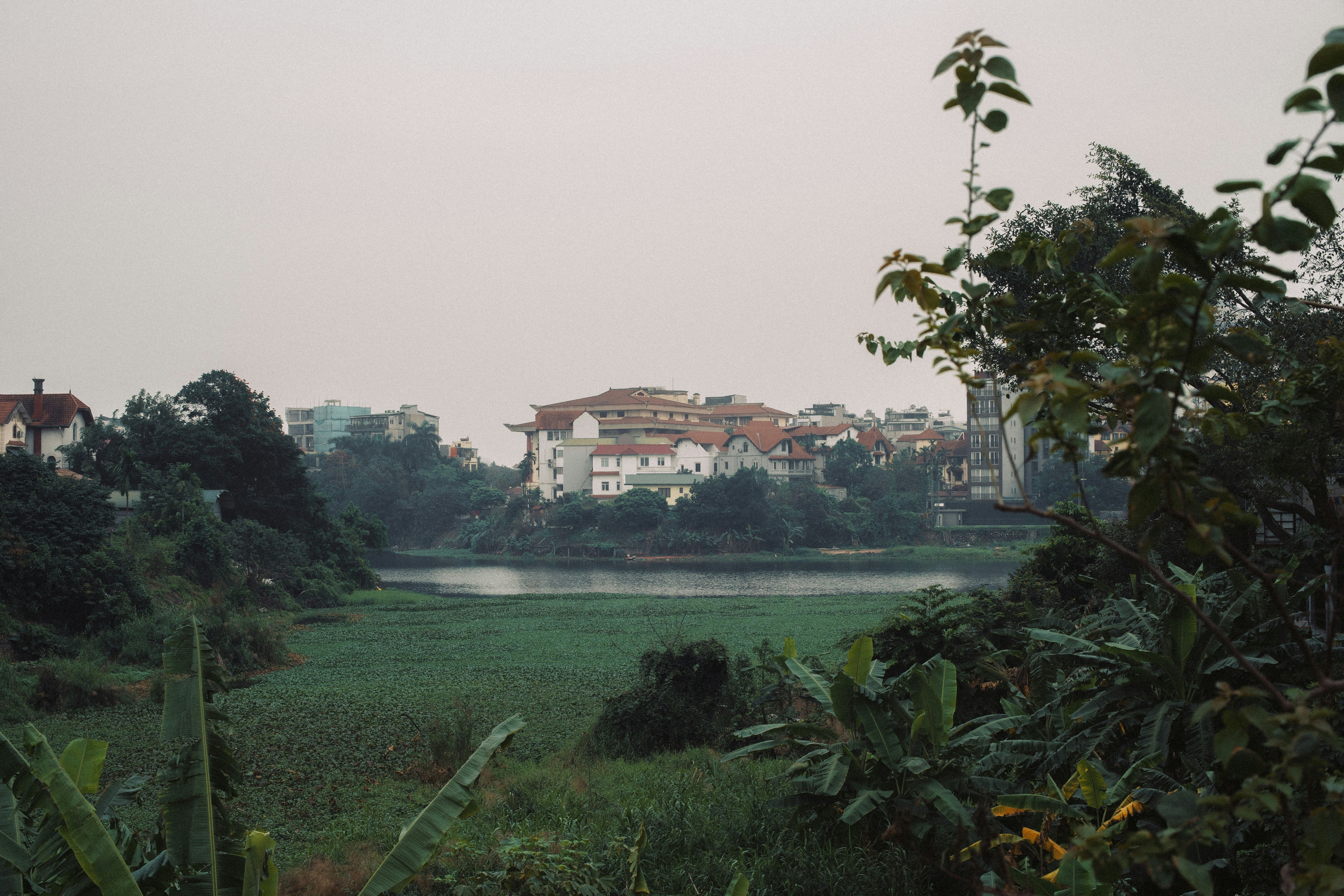 A view of a city from a distance