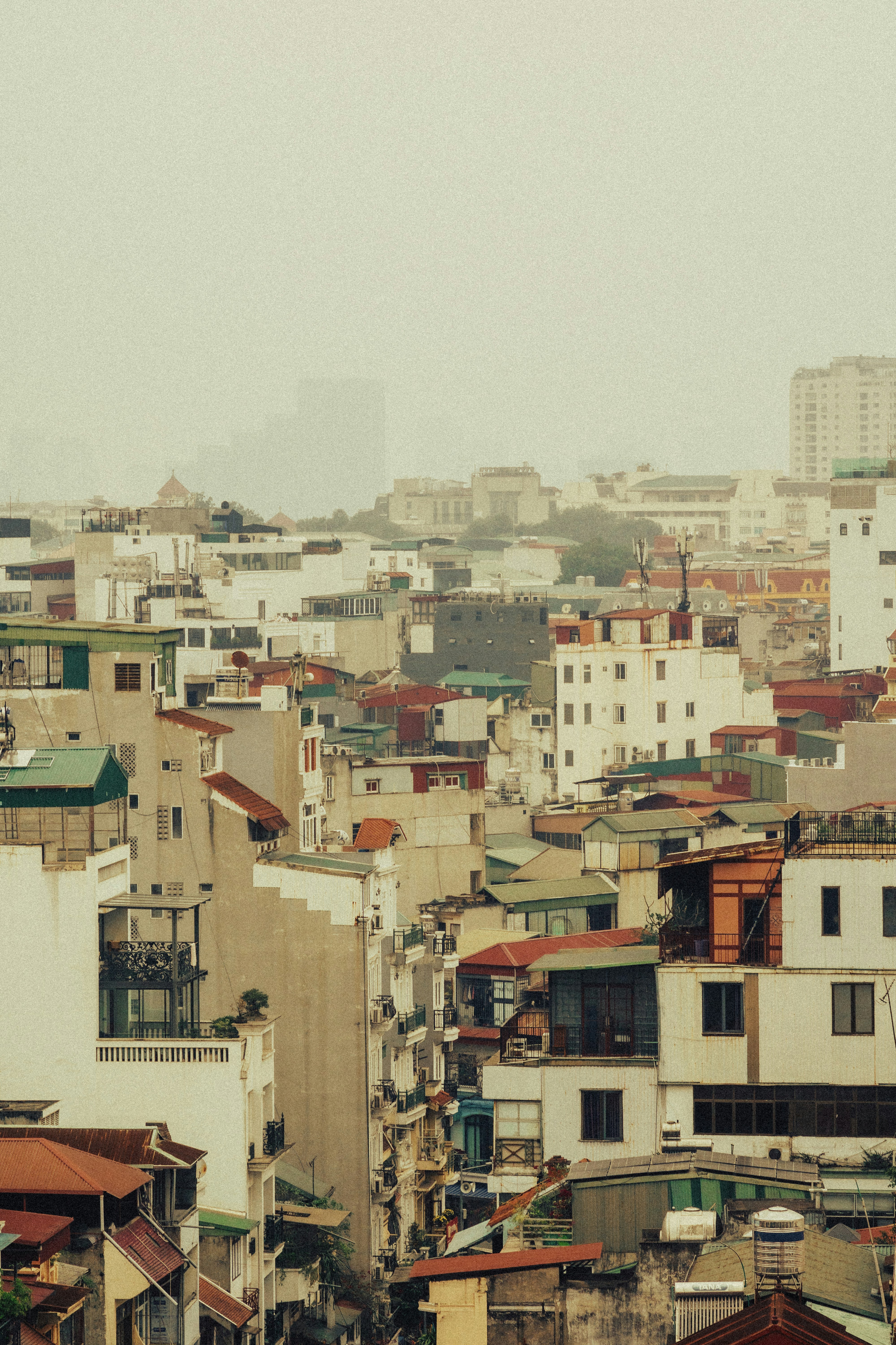 Photo by therealcaique