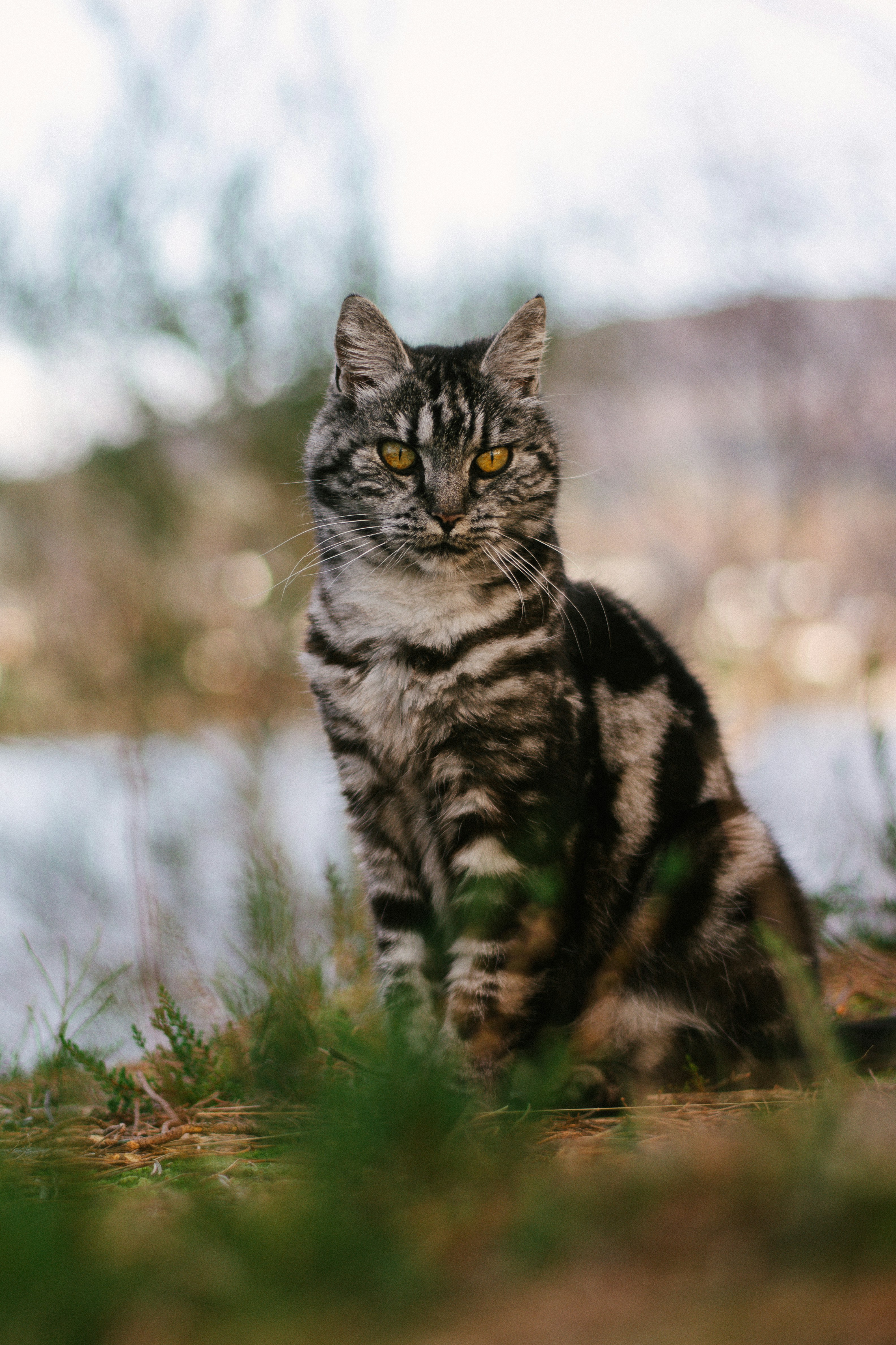 Photo by meaghcafferty