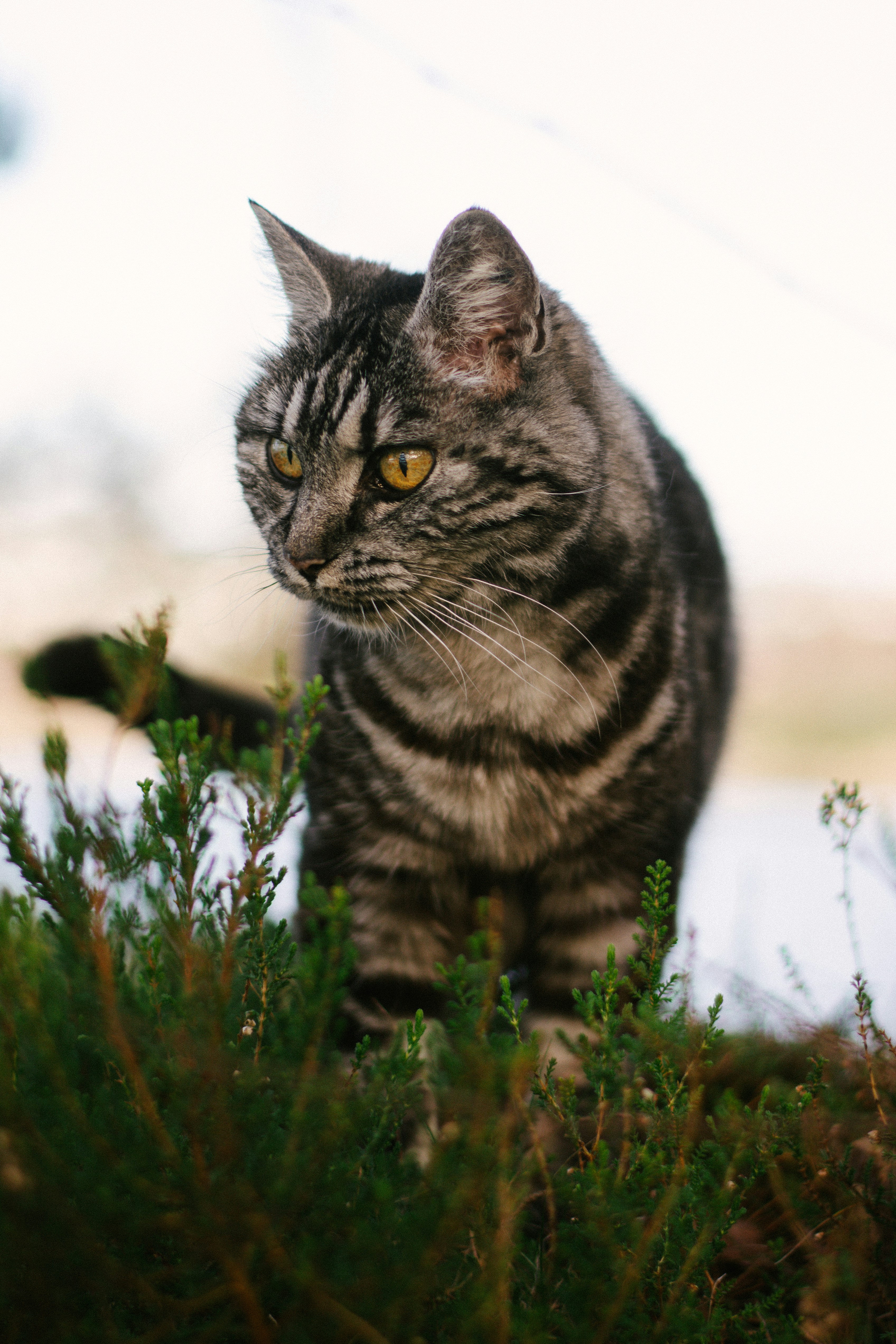 Photo by meaghcafferty