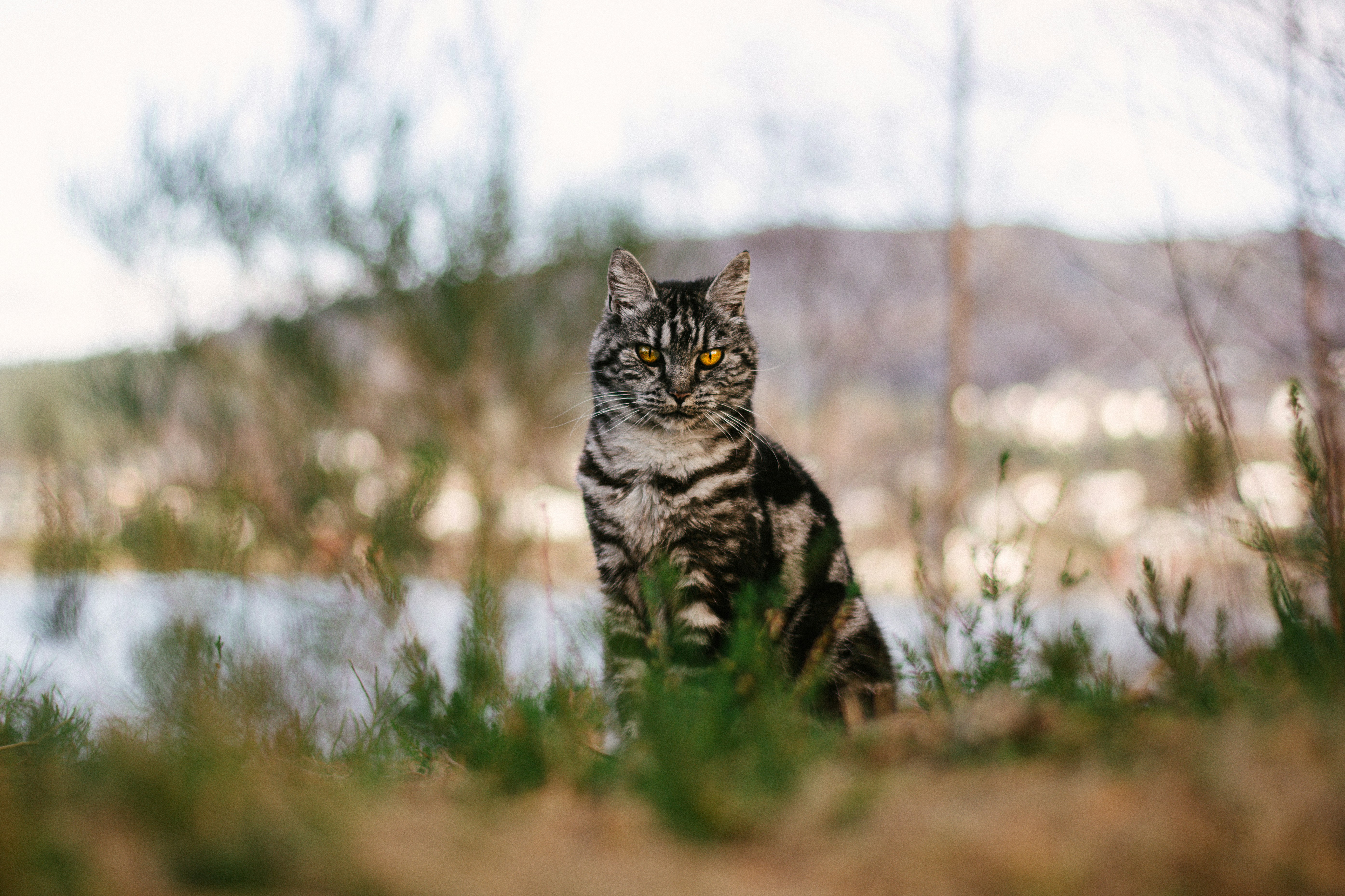 Photo by meaghcafferty