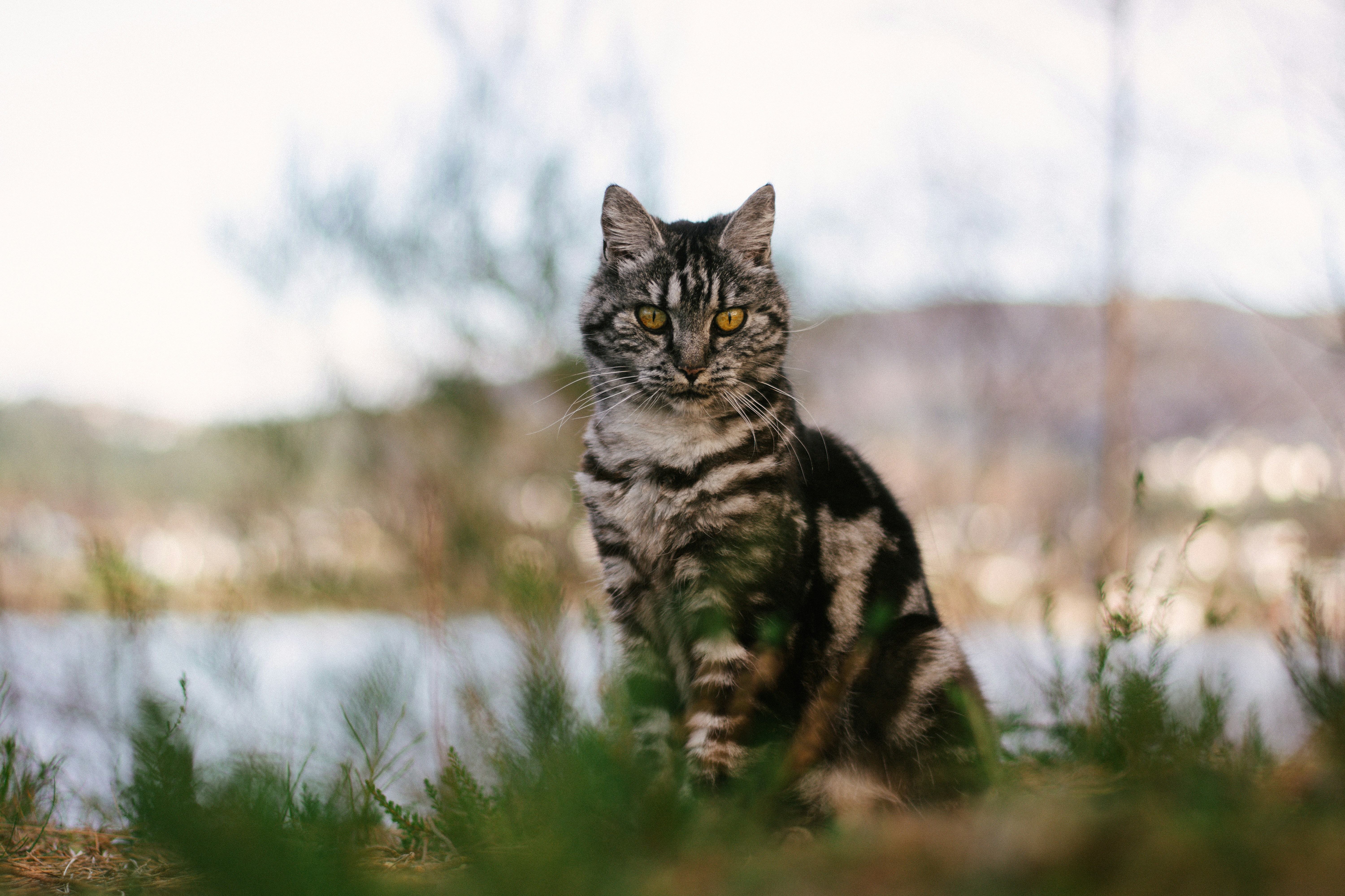 Photo by meaghcafferty