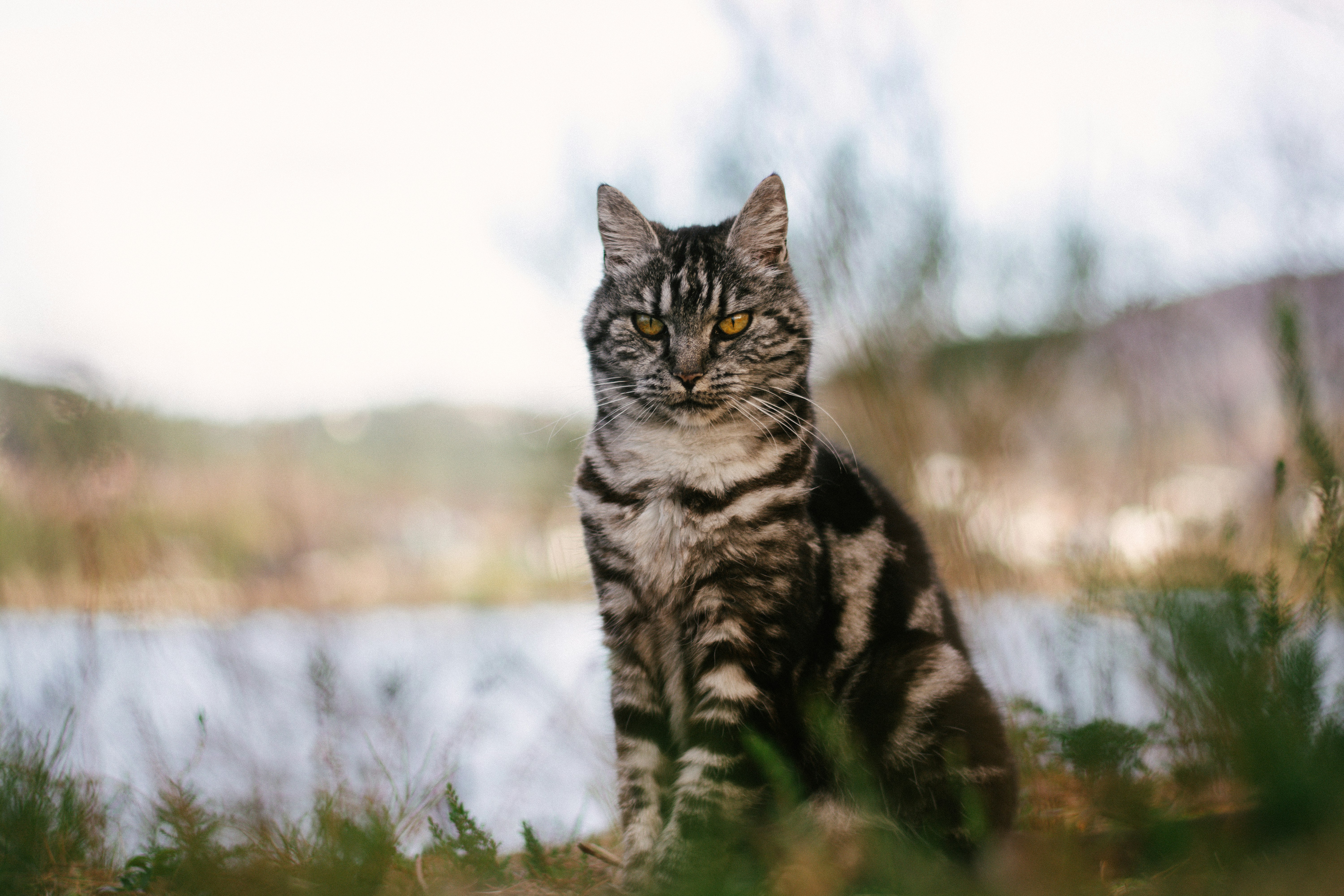 Photo by meaghcafferty