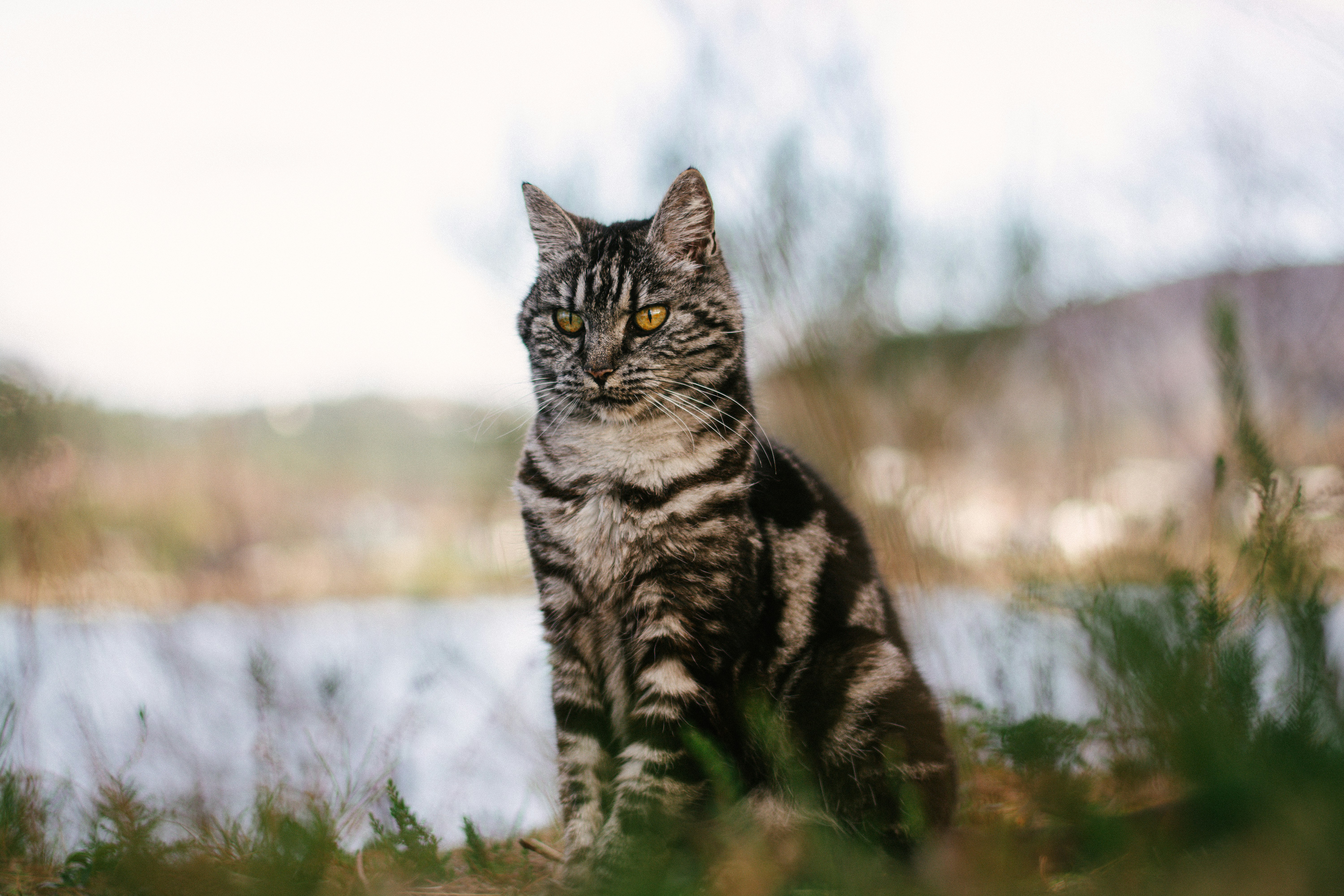 Photo by meaghcafferty