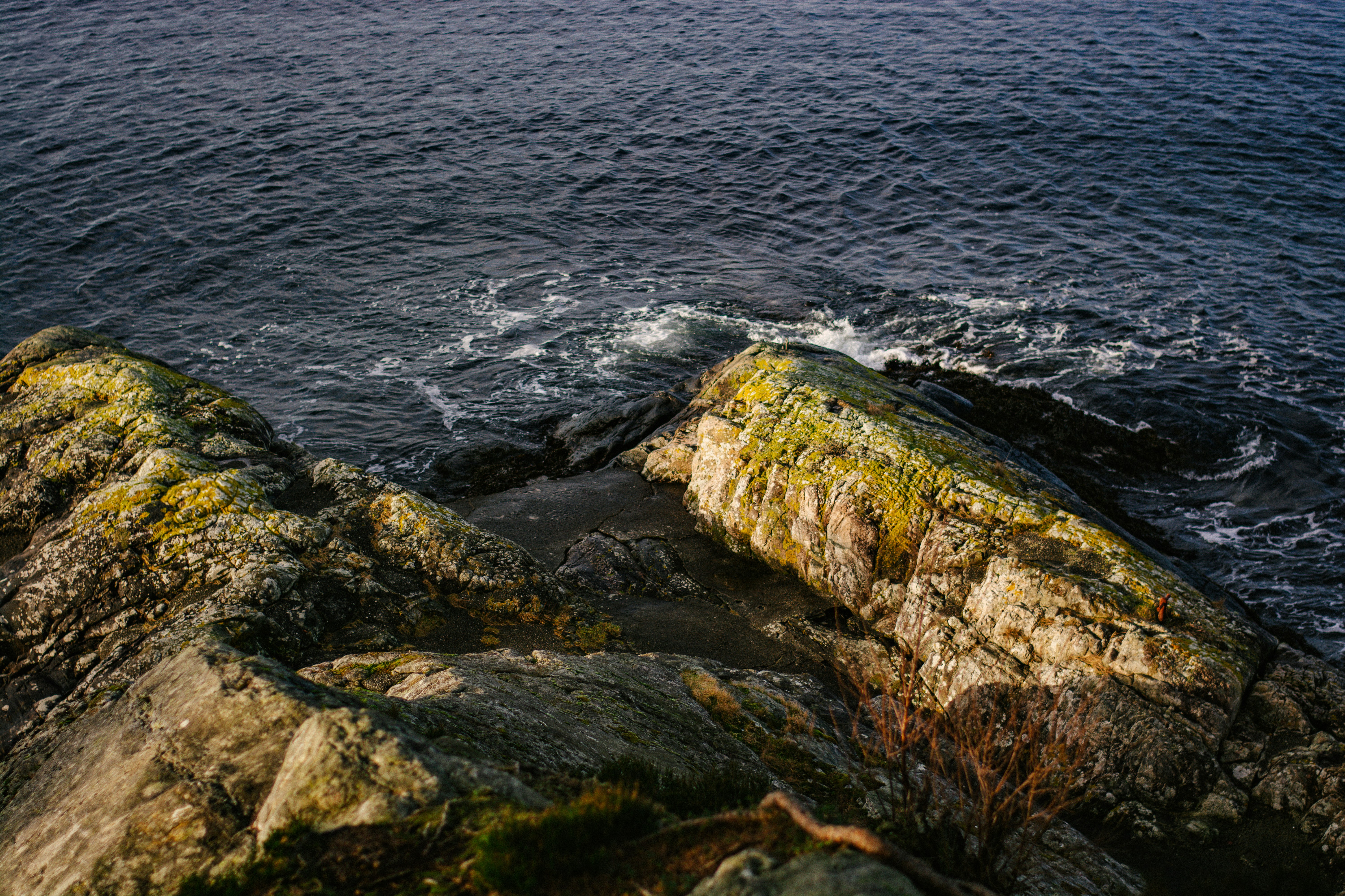 Photo by meaghcafferty