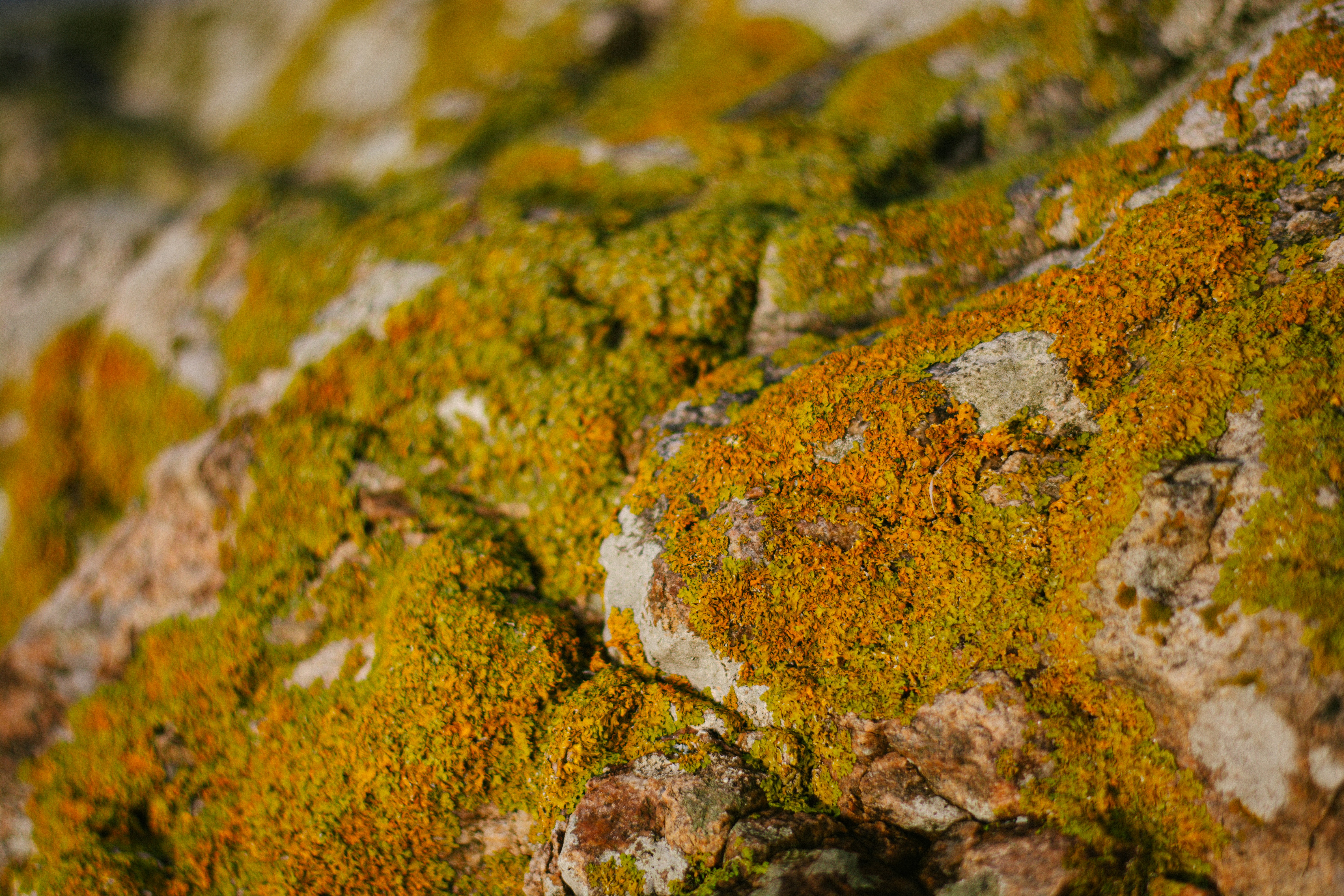 Photo by meaghcafferty