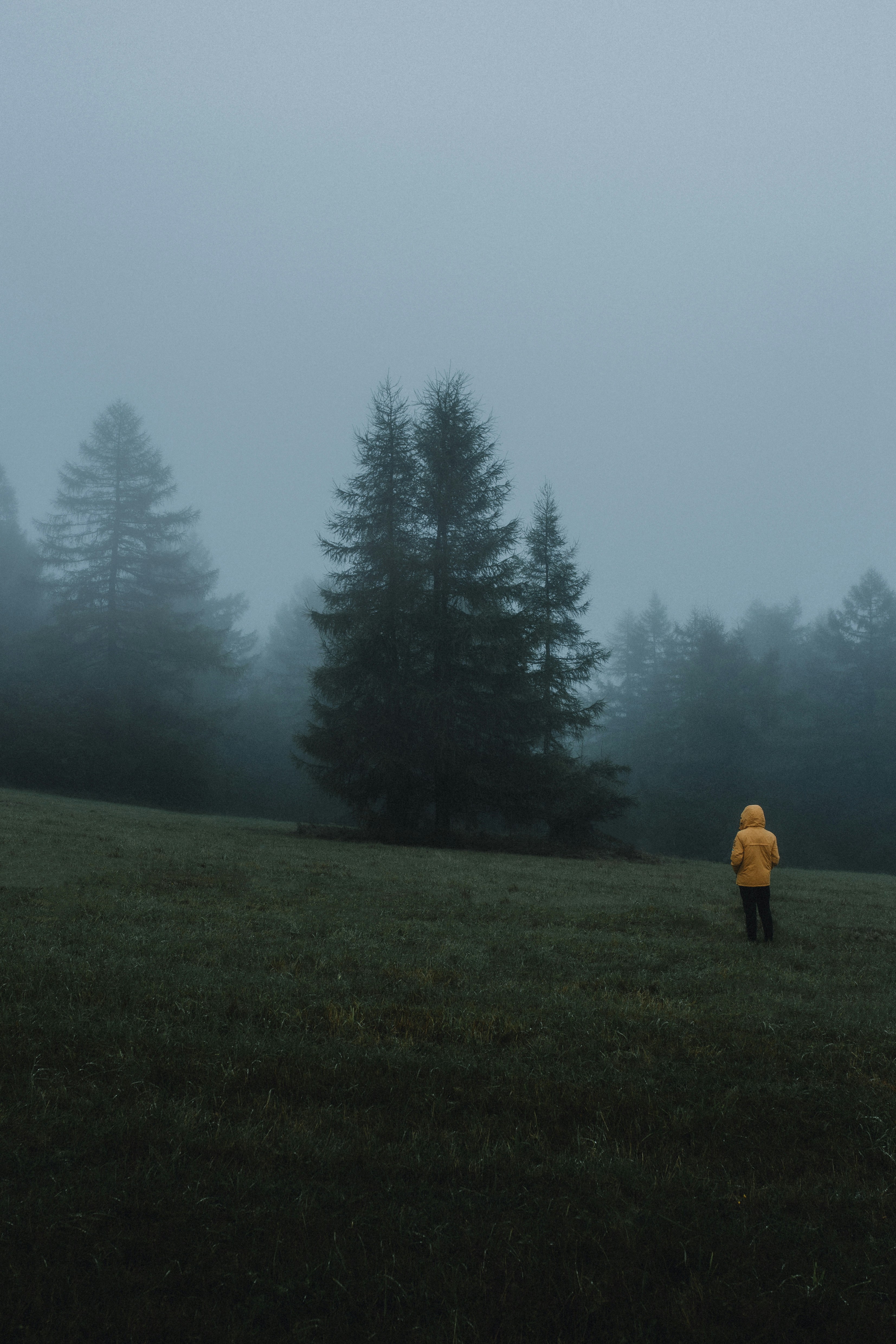 Photo by filipkvasnak