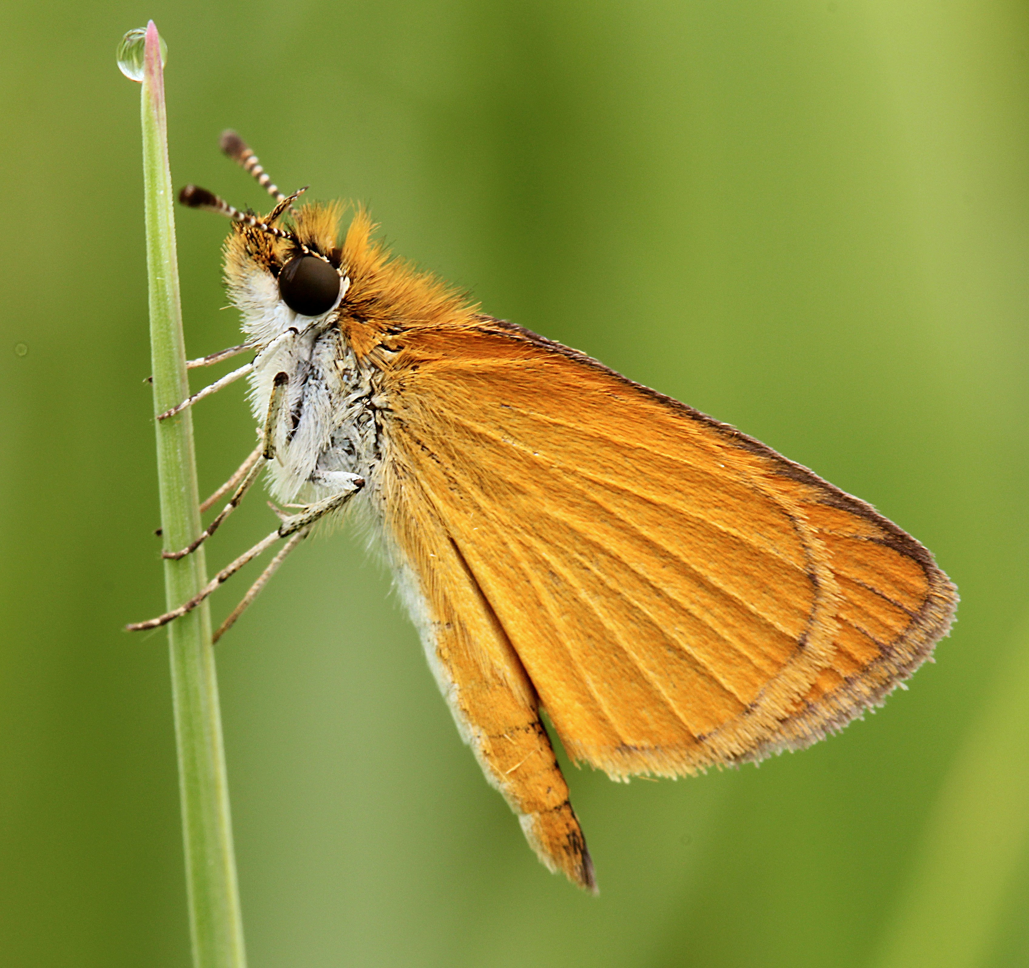 Photo by telliottmbamsc