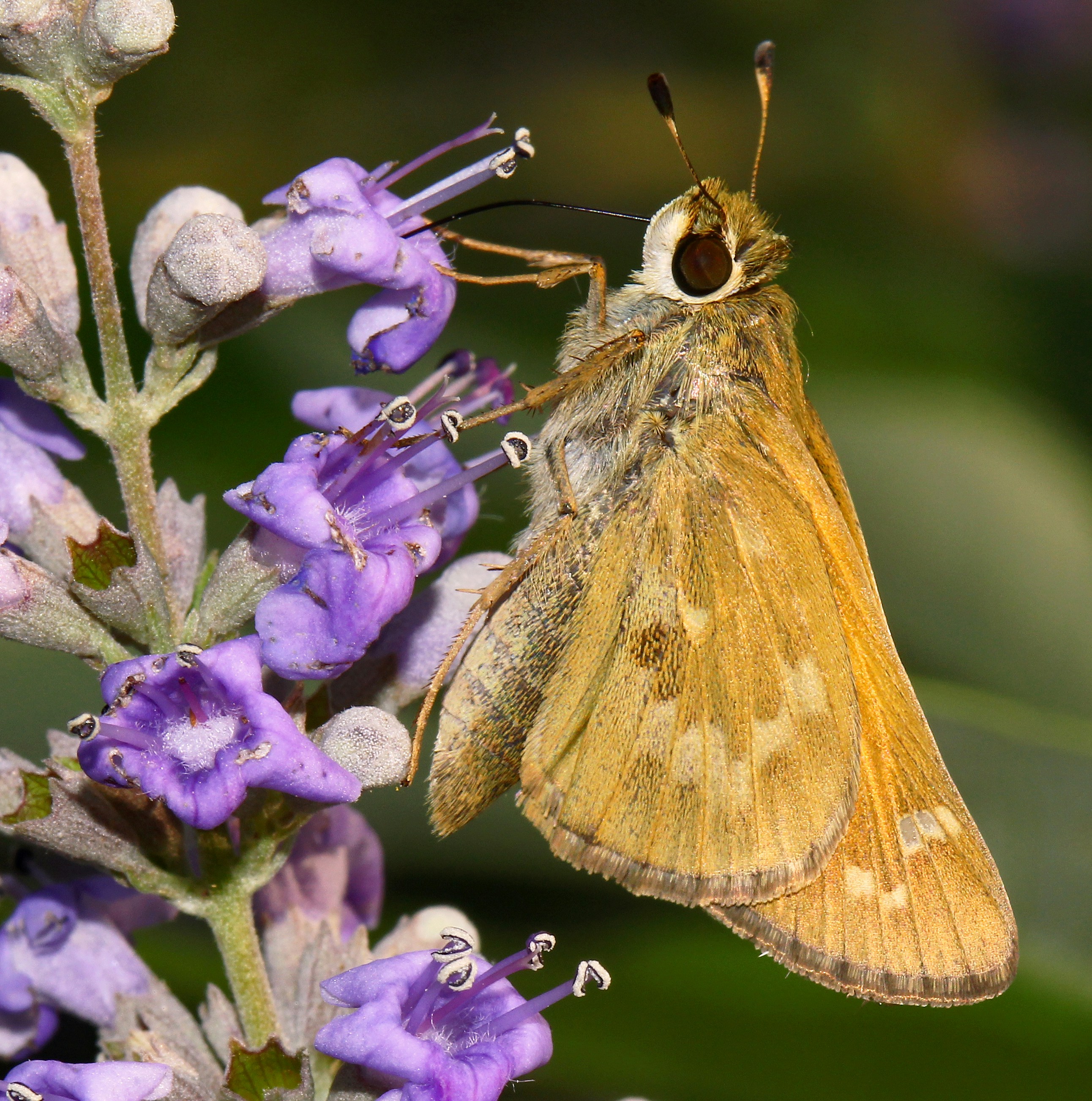 Photo by telliottmbamsc