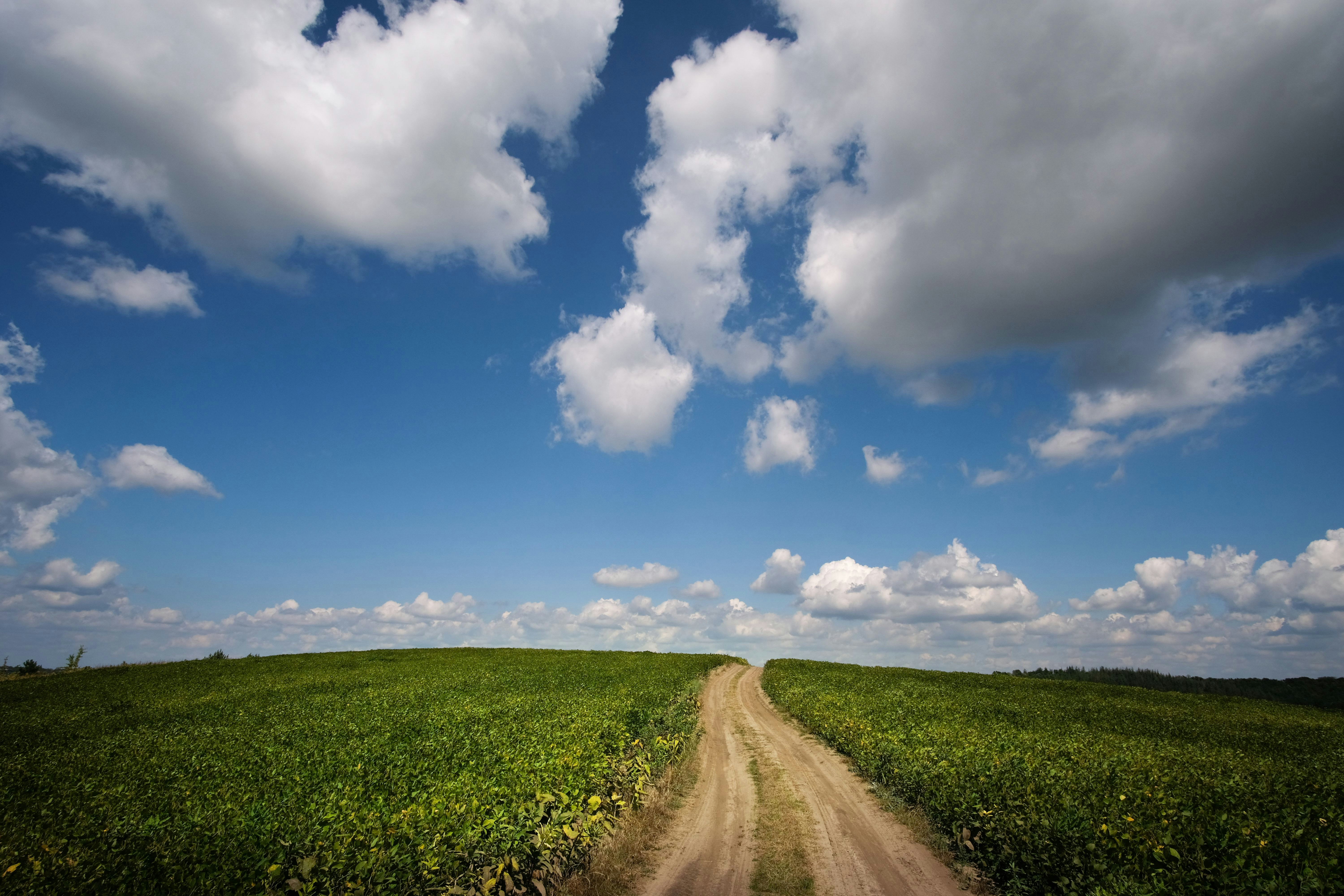 Photo by sevencolors