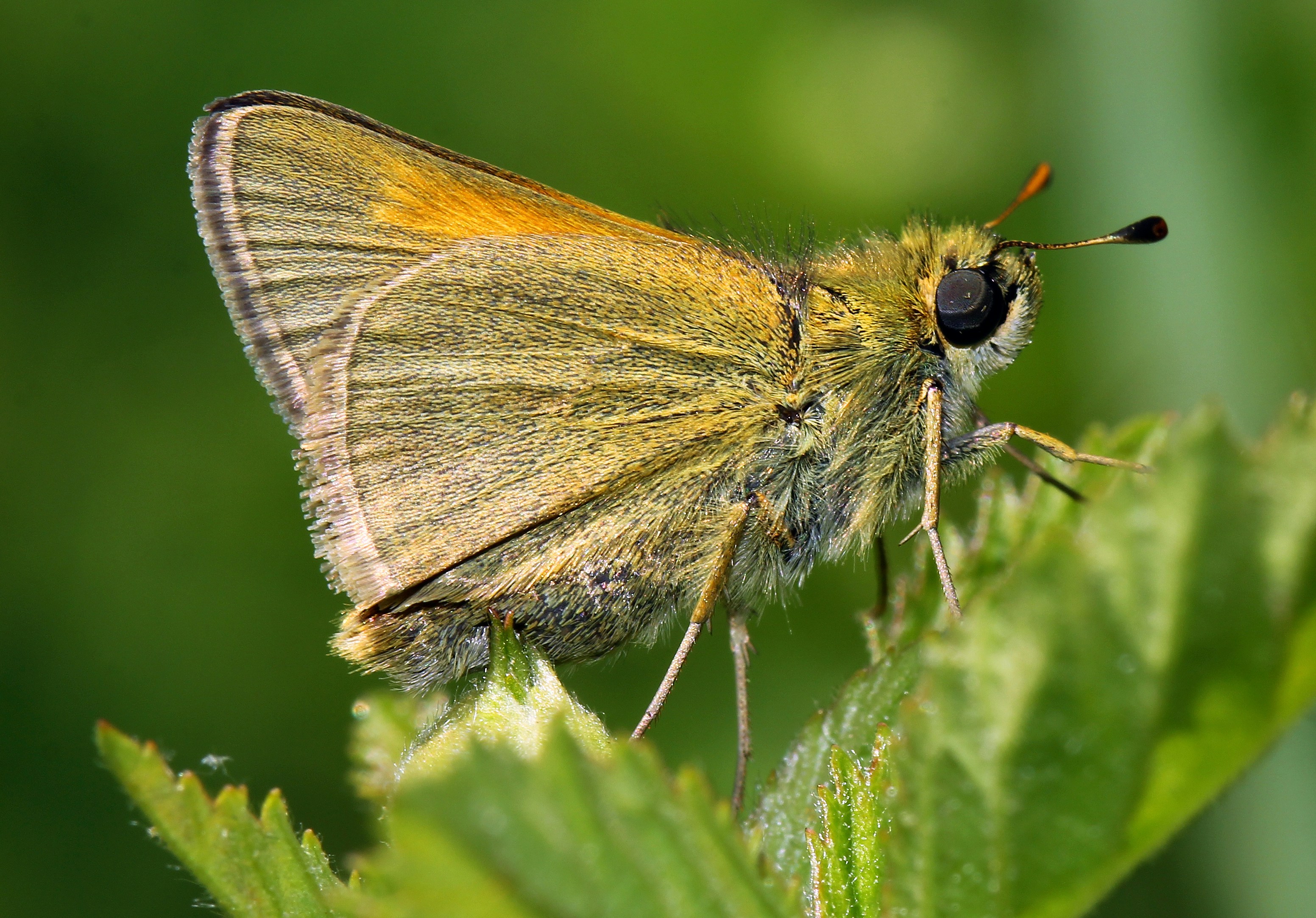 Photo by telliottmbamsc