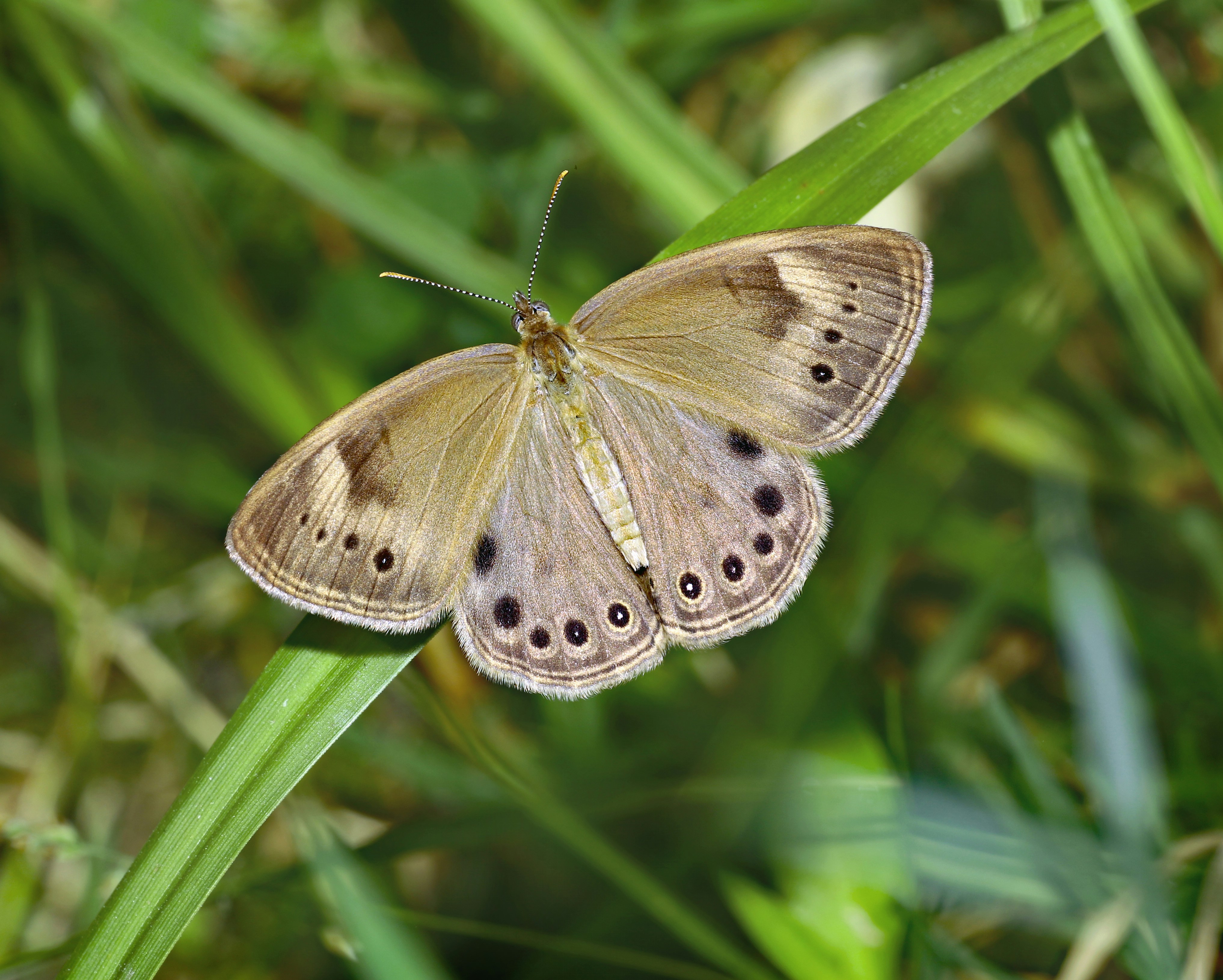 Photo by telliottmbamsc