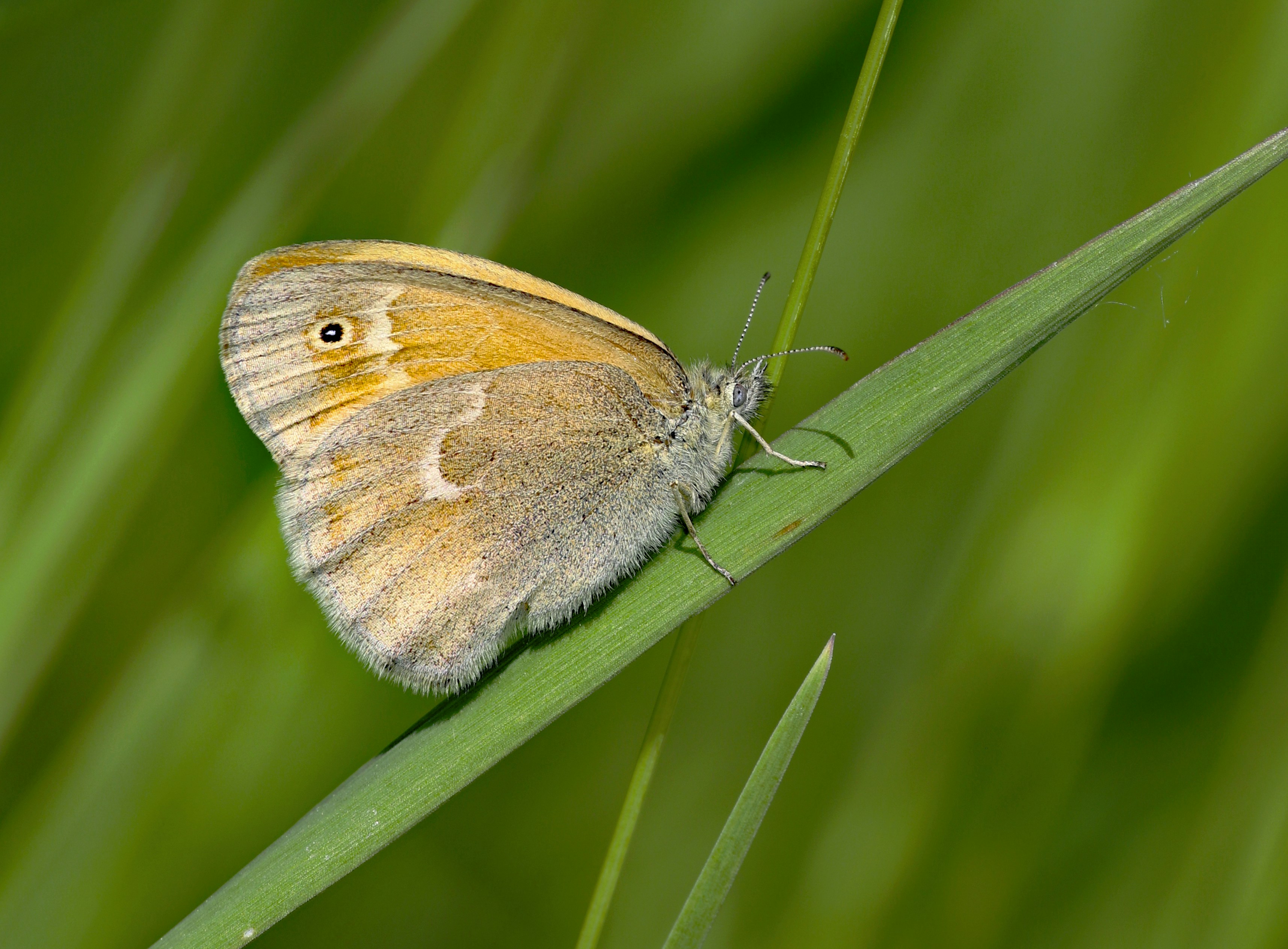 Photo by telliottmbamsc