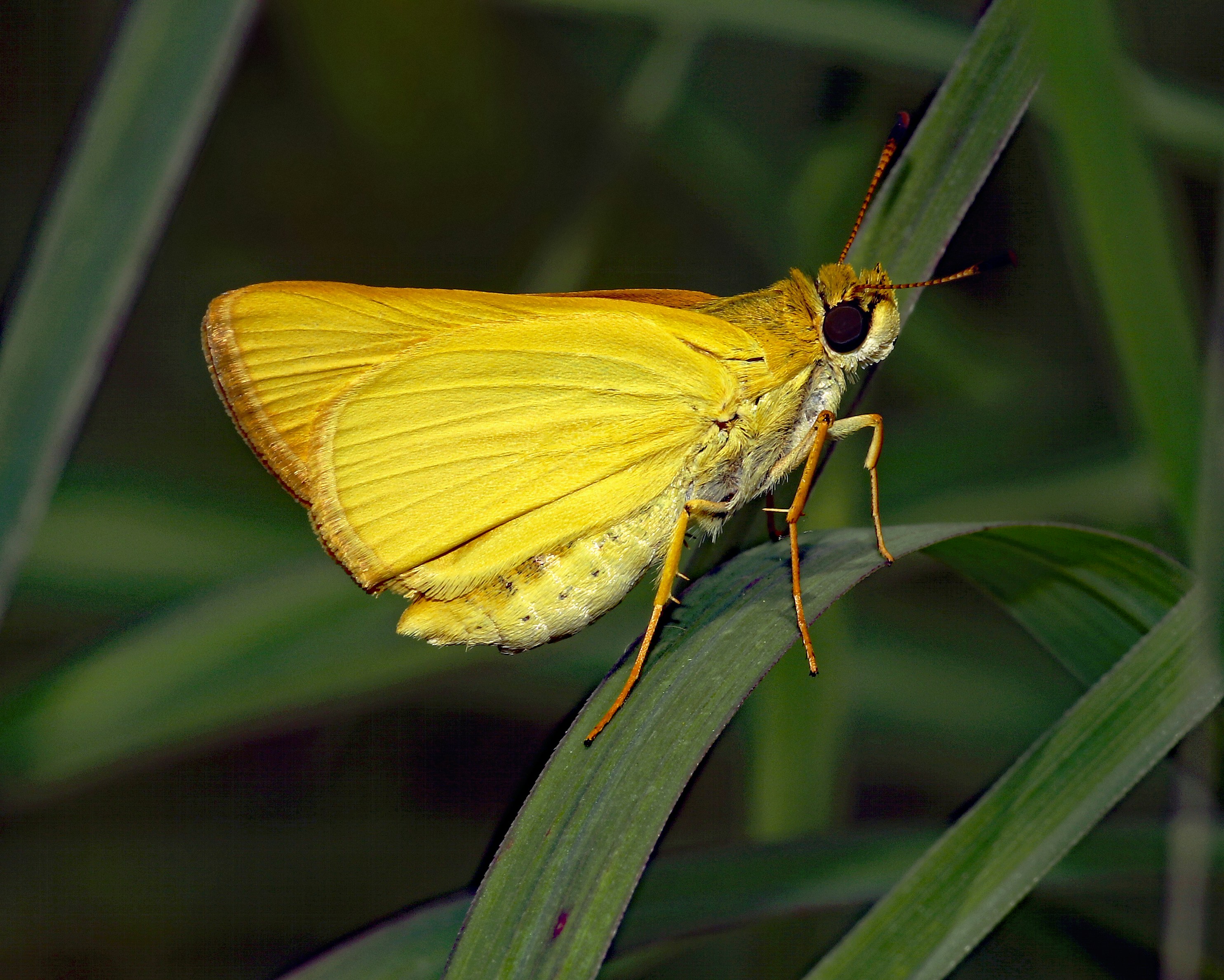 Photo by telliottmbamsc