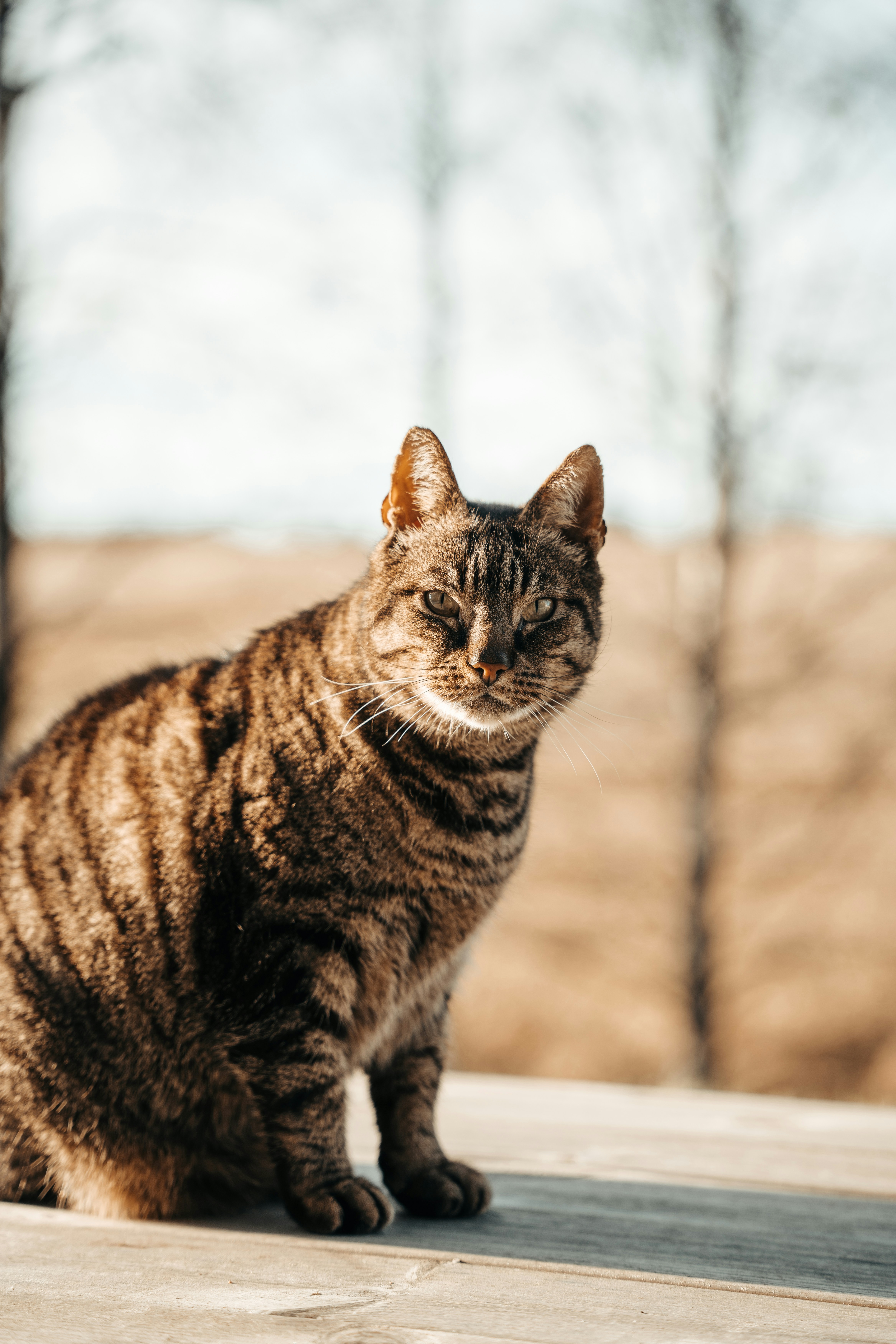 Photo by trfotografi