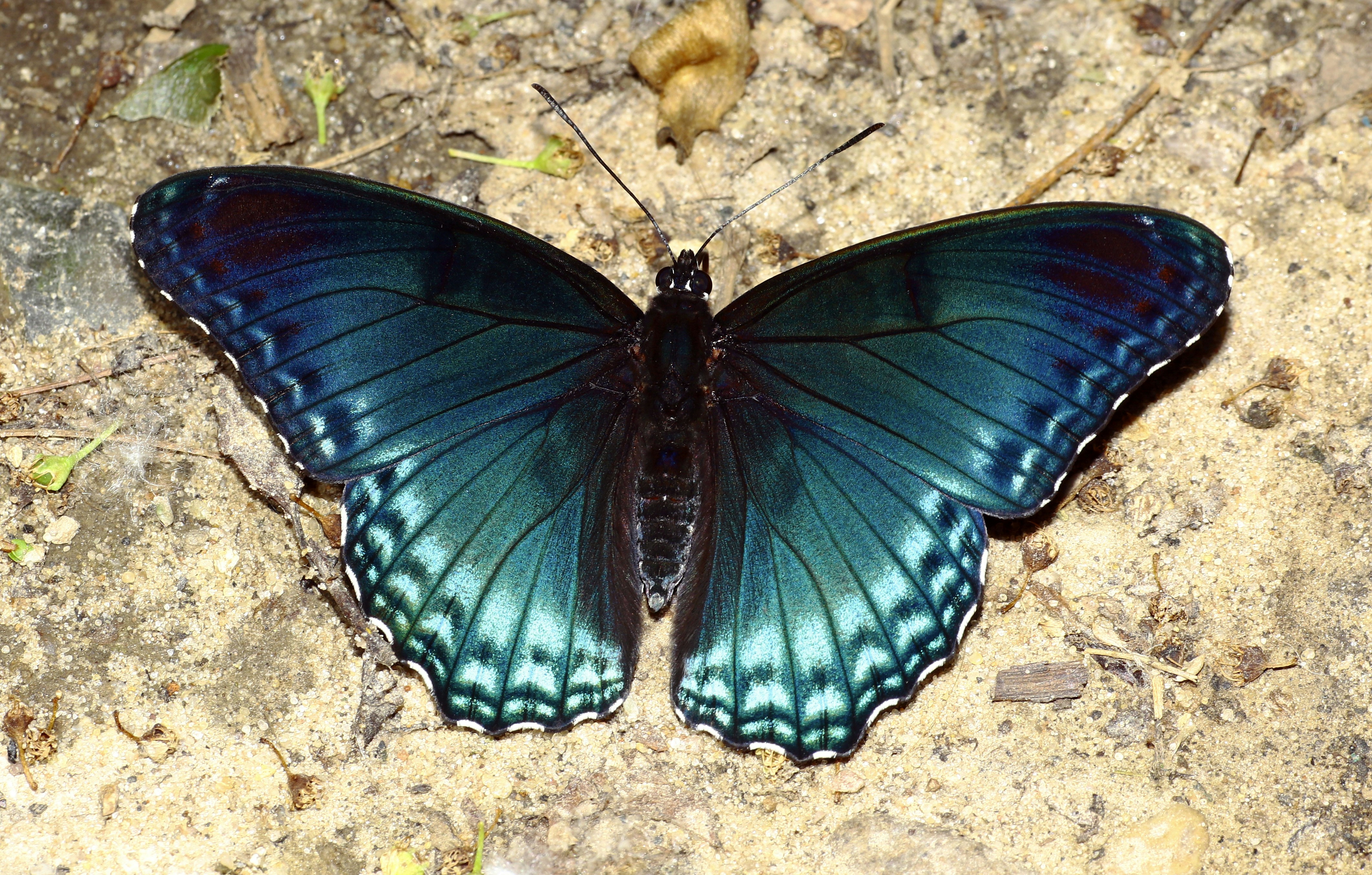 Photo by telliottmbamsc