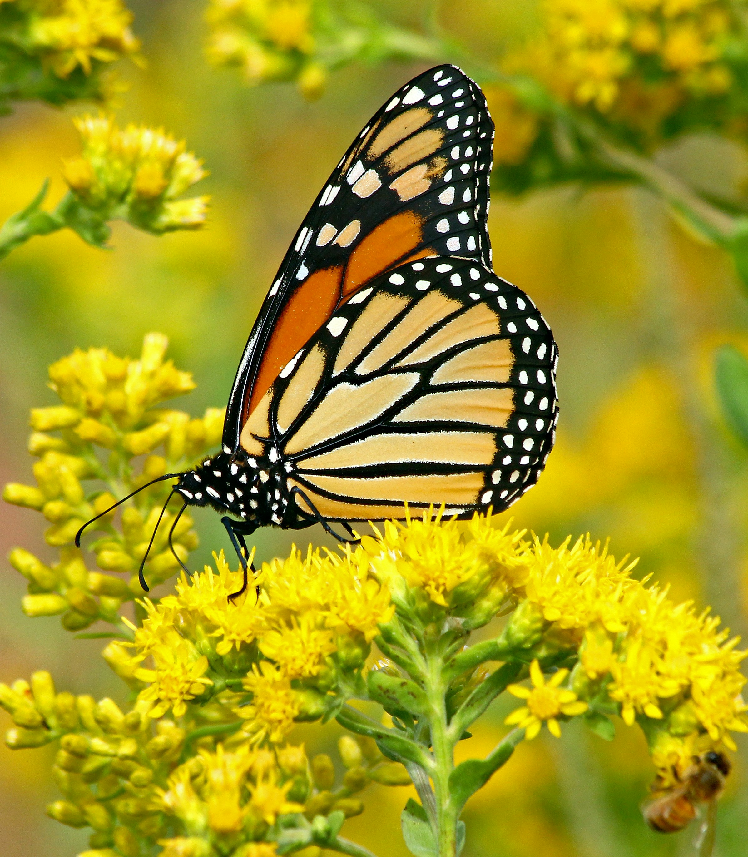 Photo by telliottmbamsc