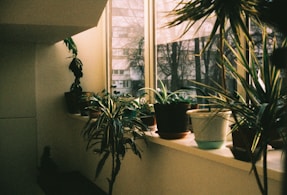 A window sill filled with potted plants next to a window