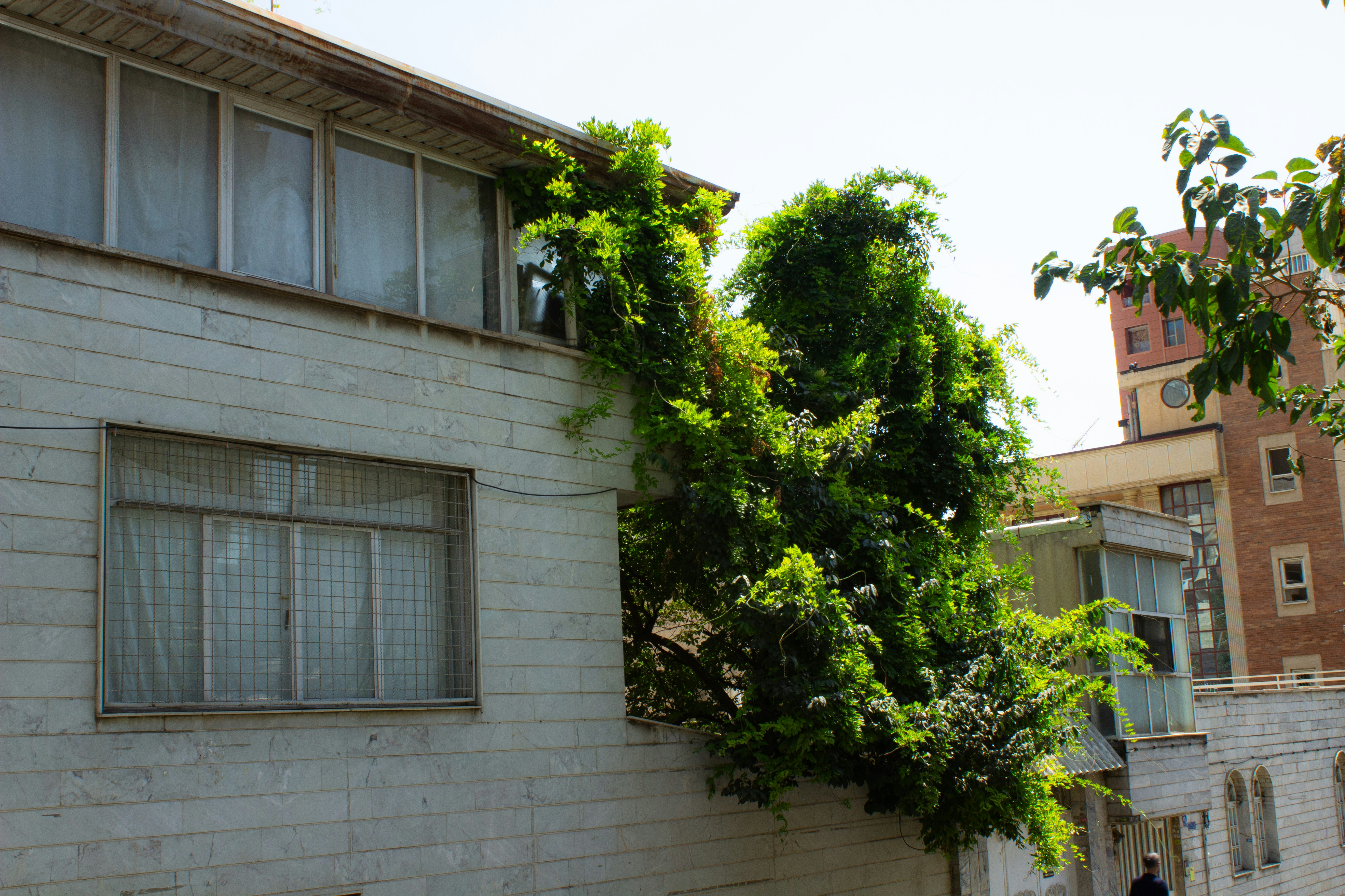 Photo by elham_frame