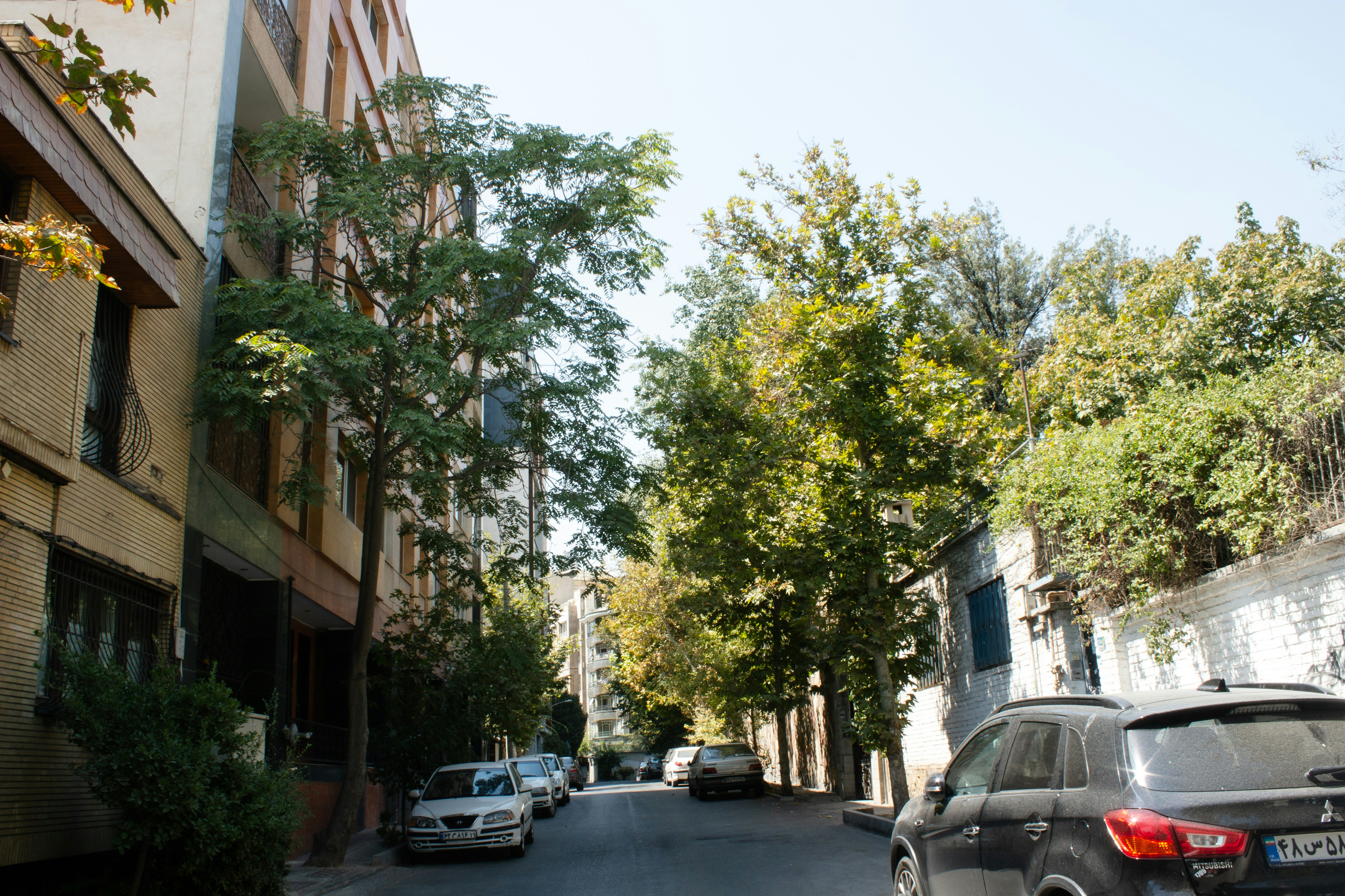 Photo by elham_frame