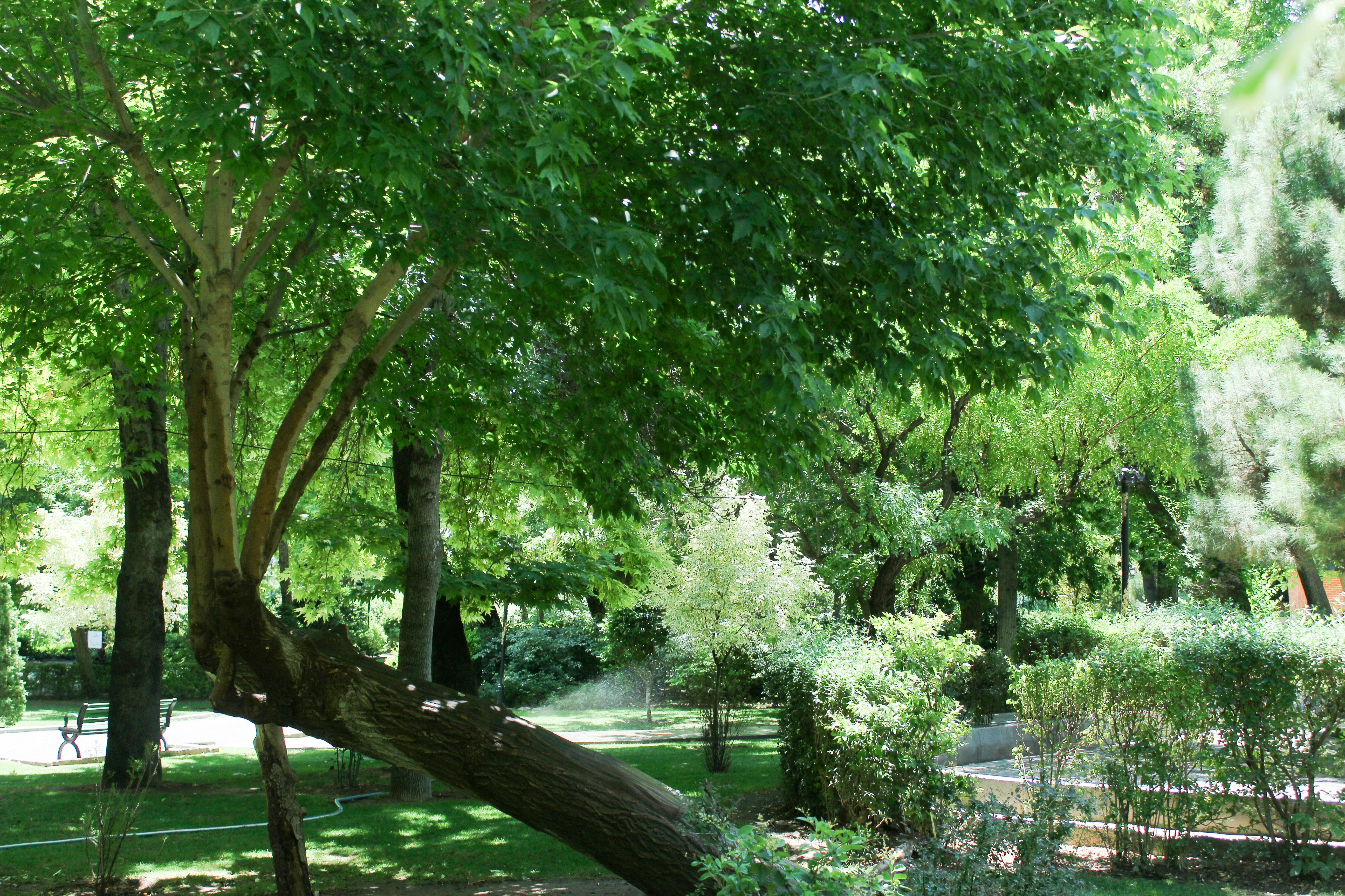 Photo by elham_frame