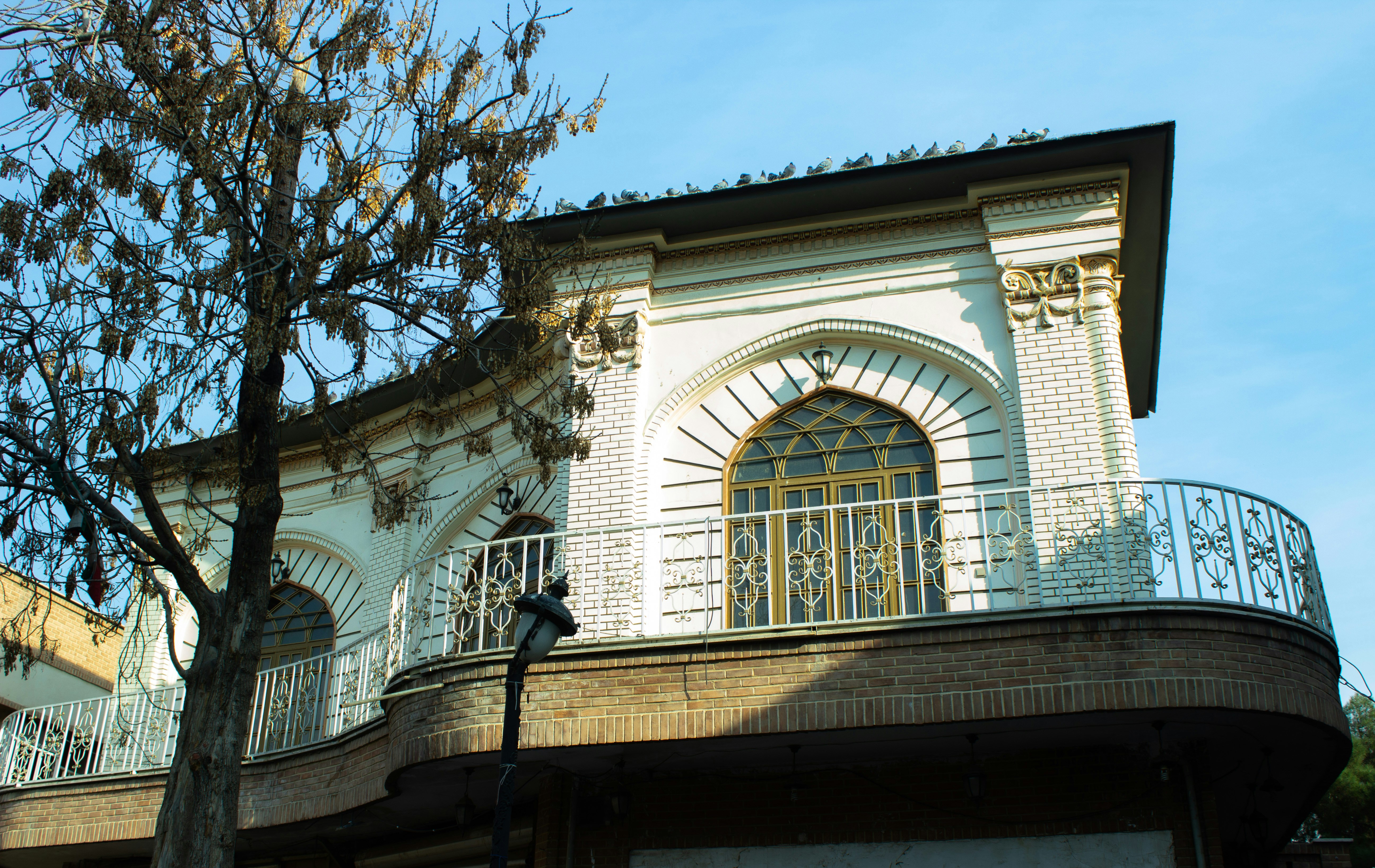 Photo by elham_frame