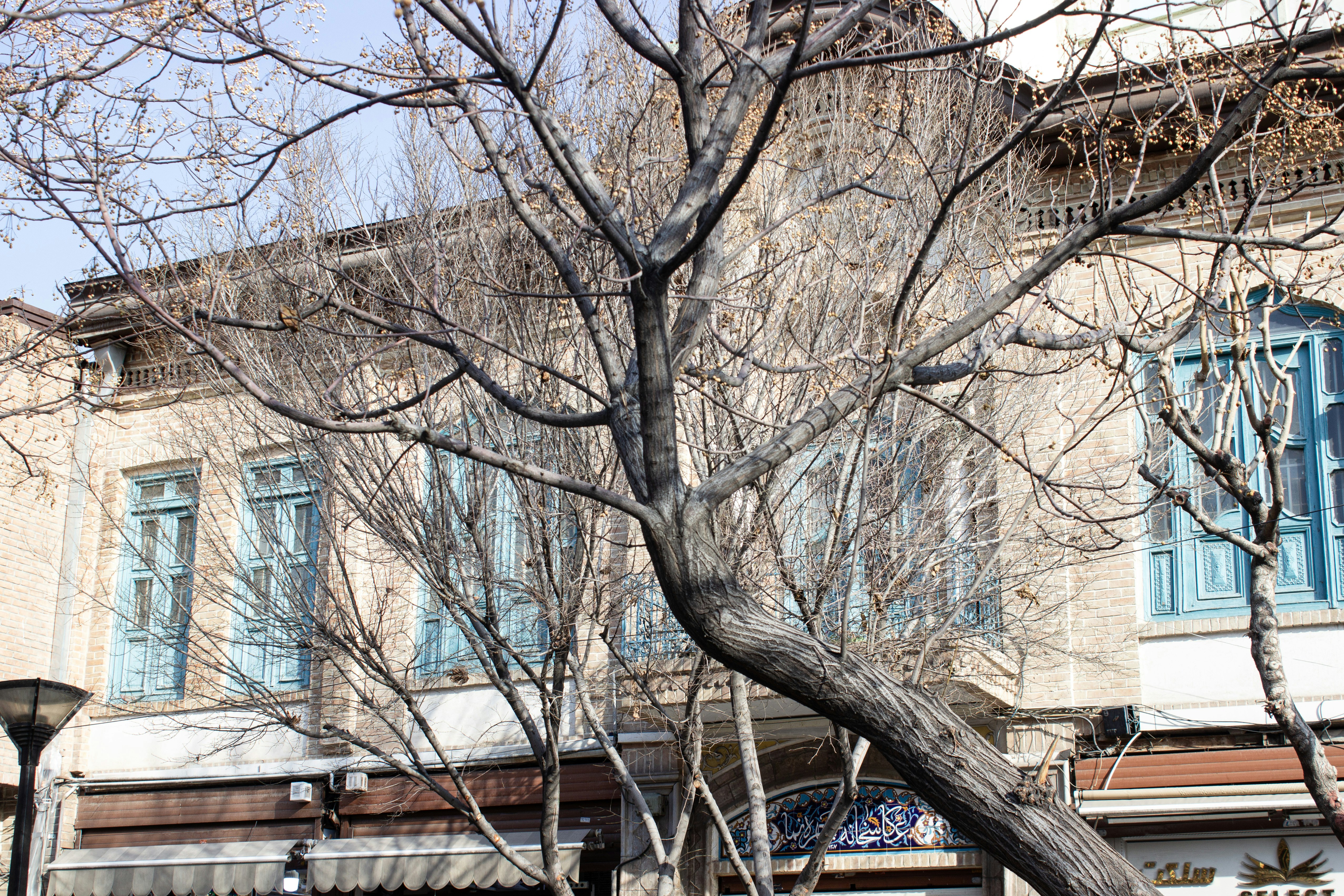 Photo by elham_frame