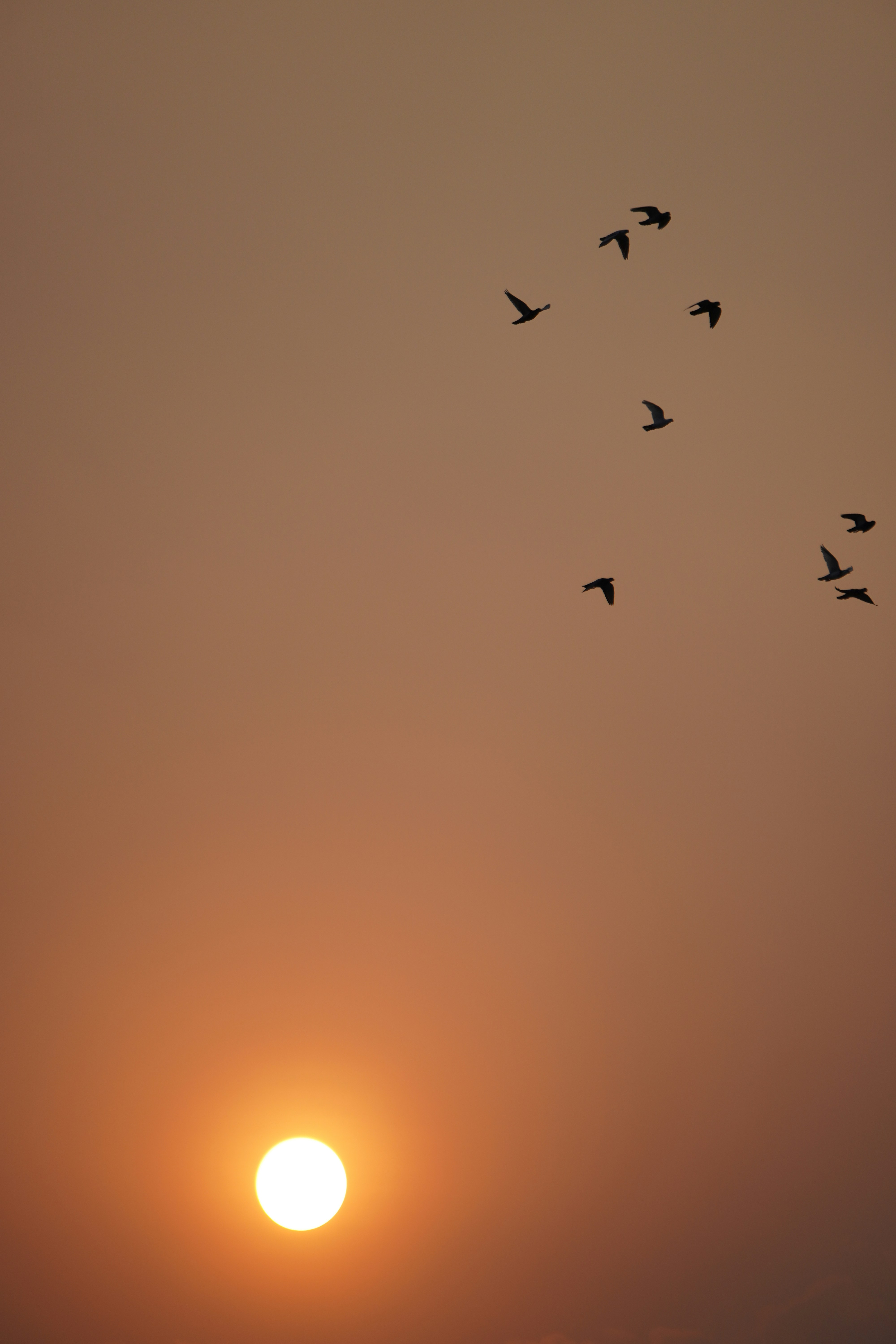 Photo by themayurkumbhar